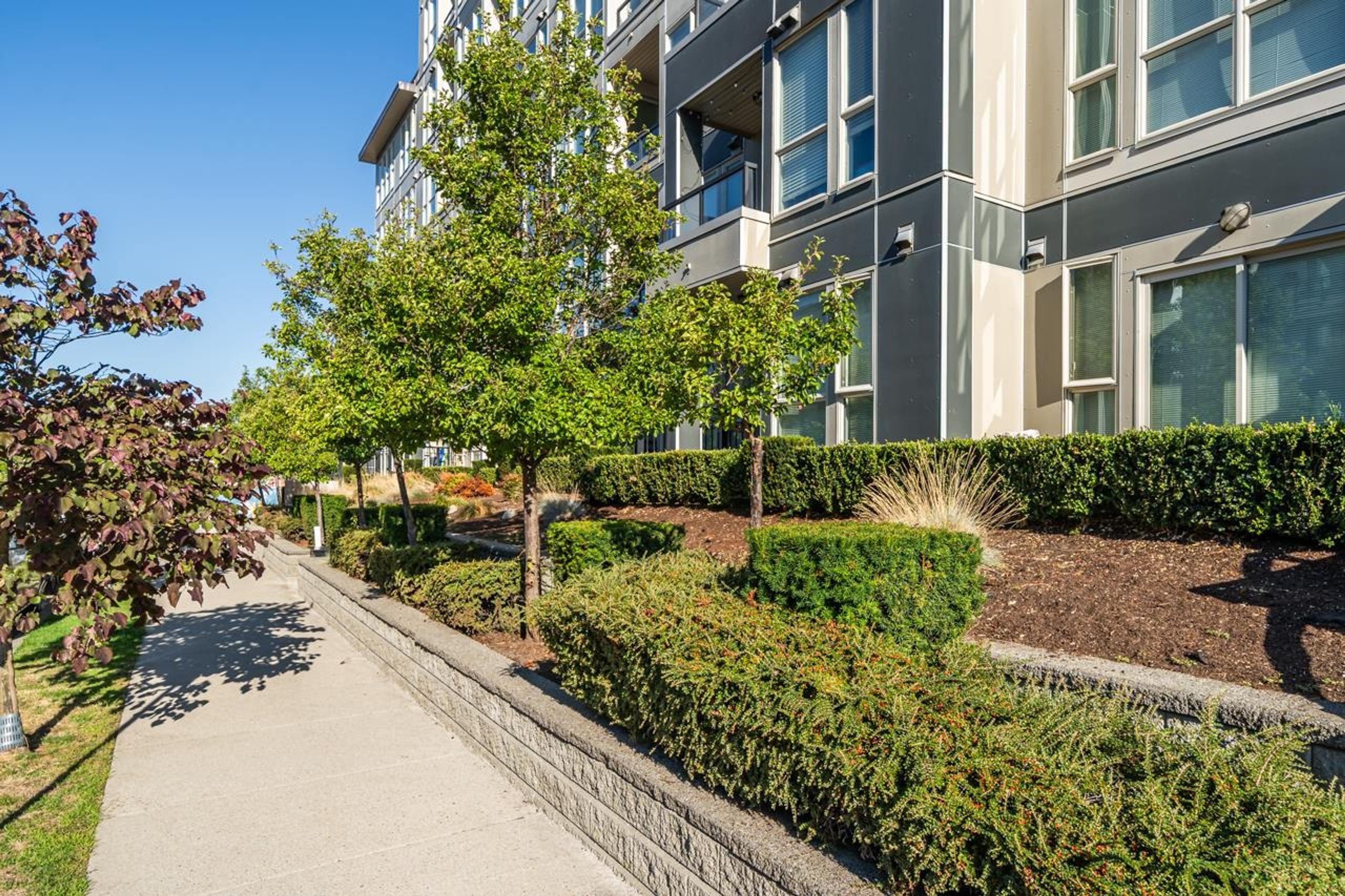 4133 Stolberg Street, Richmond - Exteriors - Photo 4