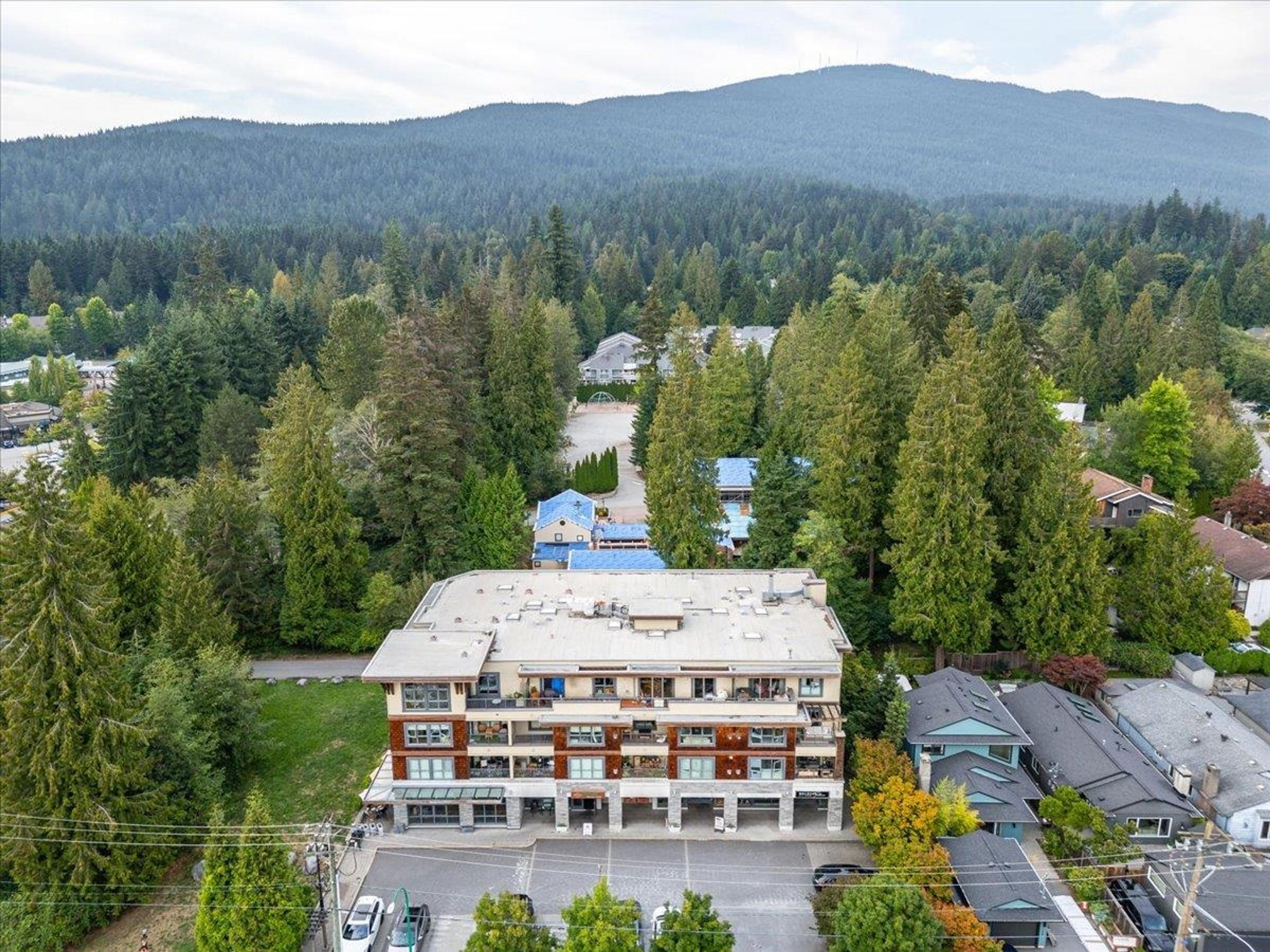 3732 Mt Seymour Parkway, North Vancouver - Exteriors - Drone/Aerial View - Photo 1