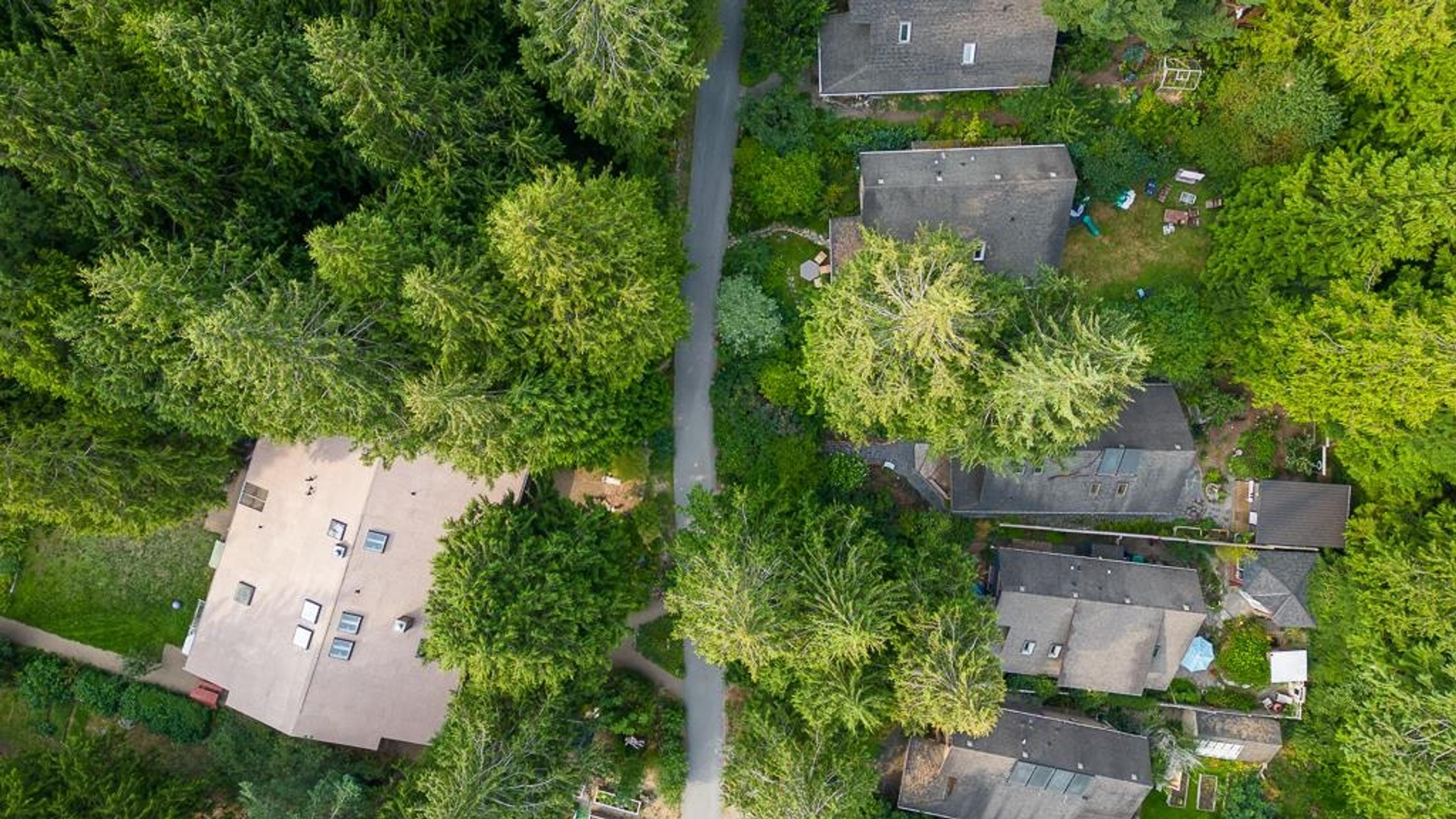 1131 Emery Road, Roberts Creek - Exteriors - Drone/Aerial View, Full Complex View - Photo 3