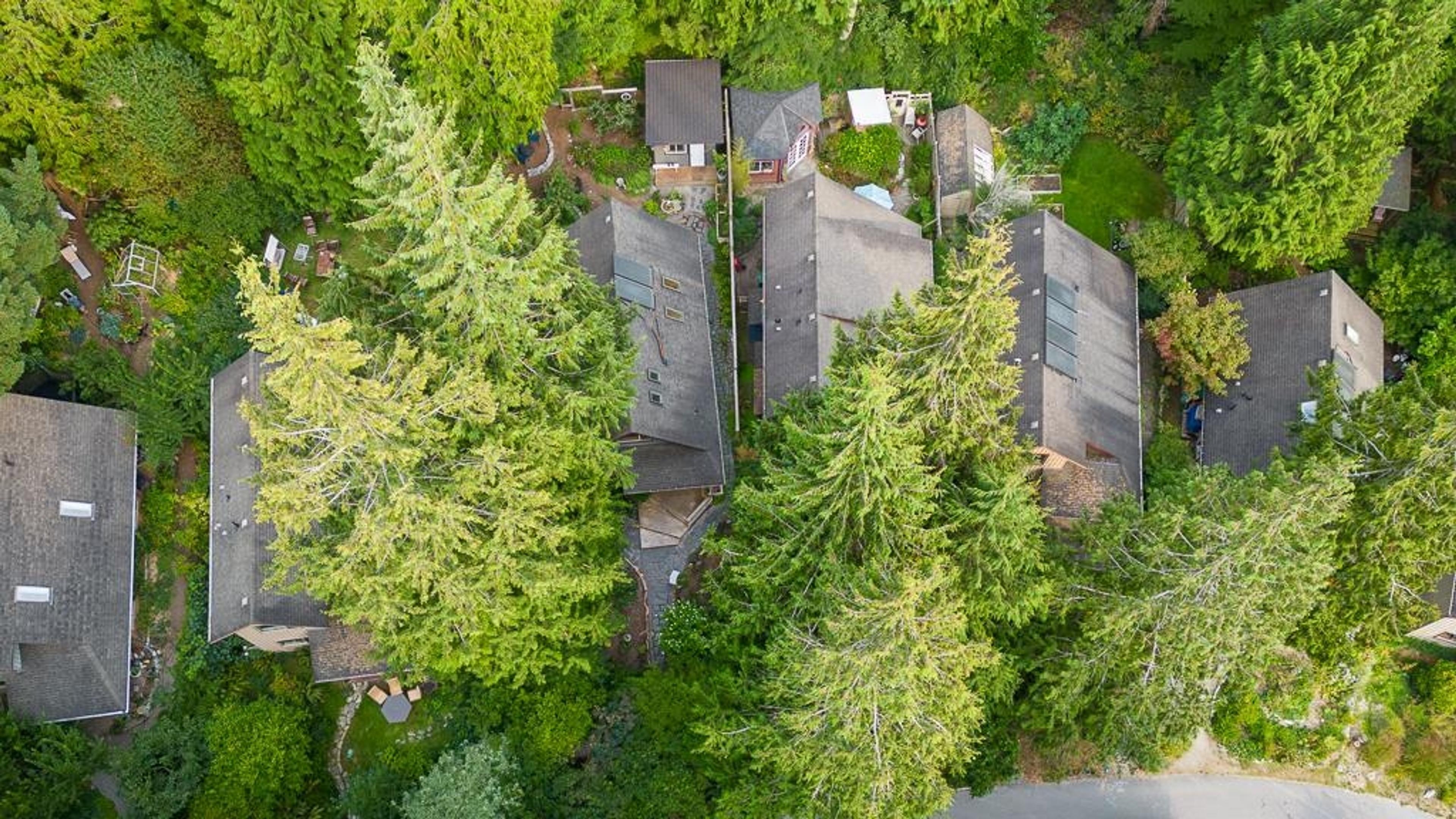 1131 Emery Road, Roberts Creek - Exteriors - Full Complex View, Drone/Aerial View - Photo 5