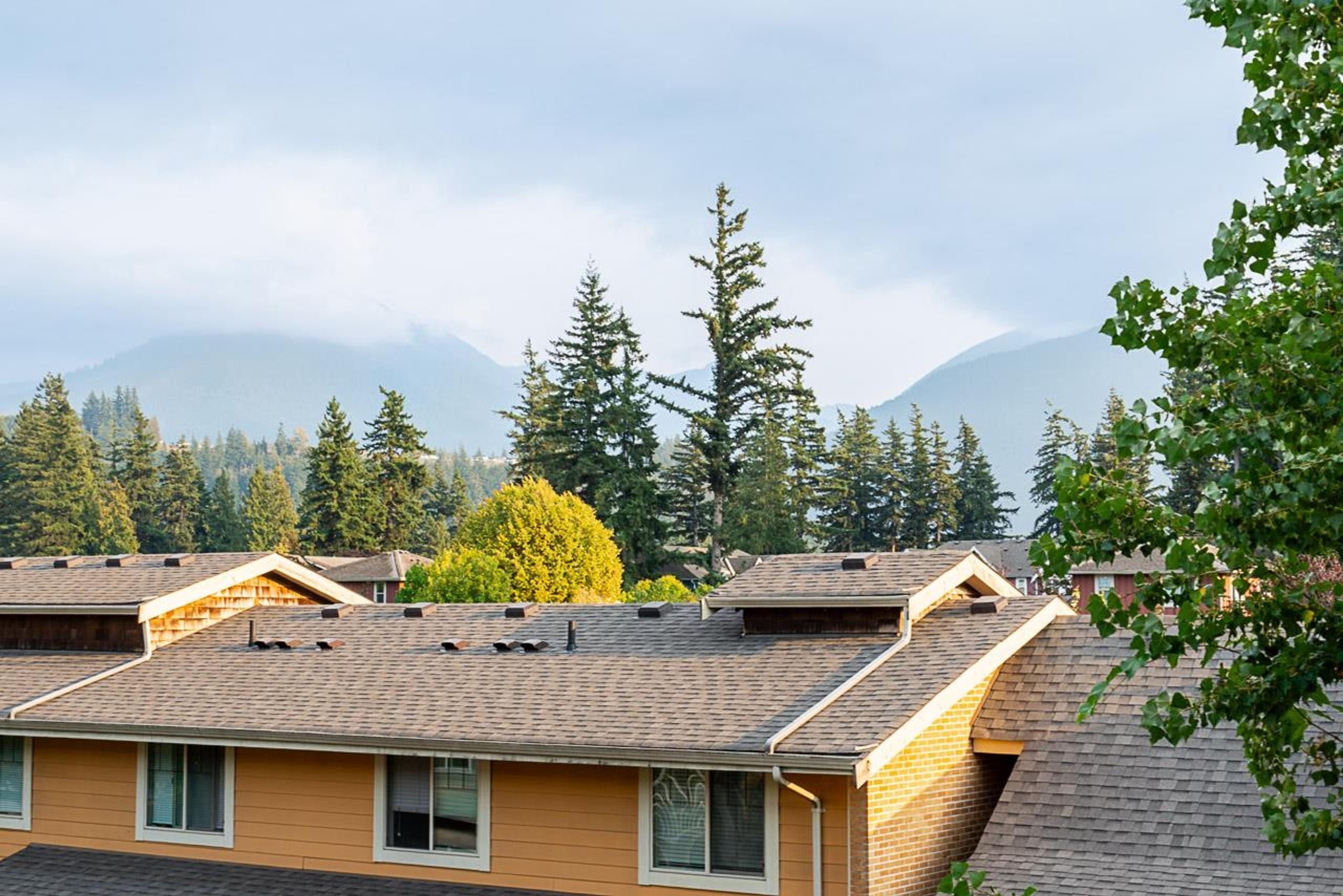 45222 Watson Road, Chilliwack - Exteriors - Full Complex View - Photo 4