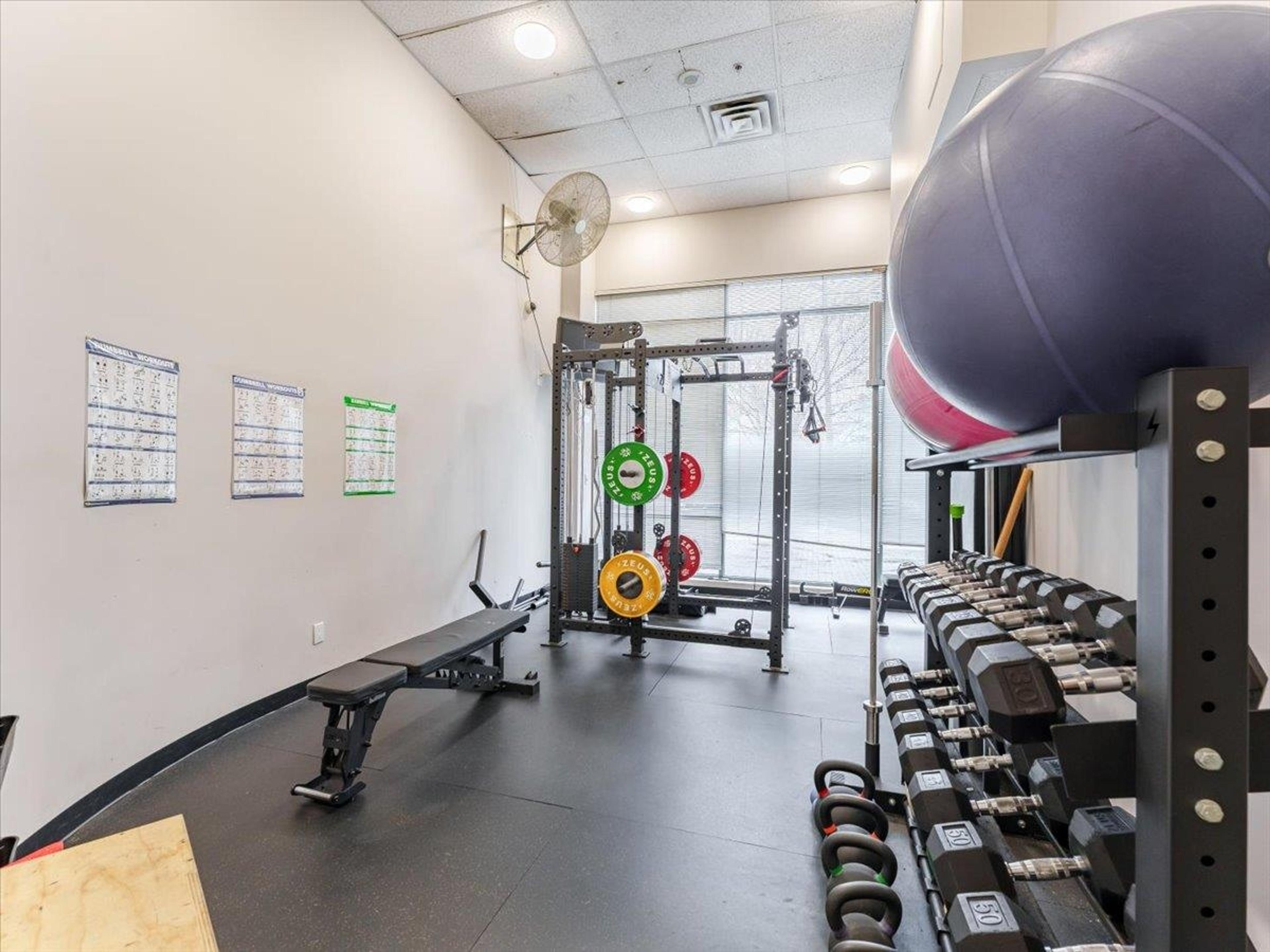 288 E 8th Avenue, Vancouver - Indoor Amenities - Fitness centers / Gyms - Photo 1