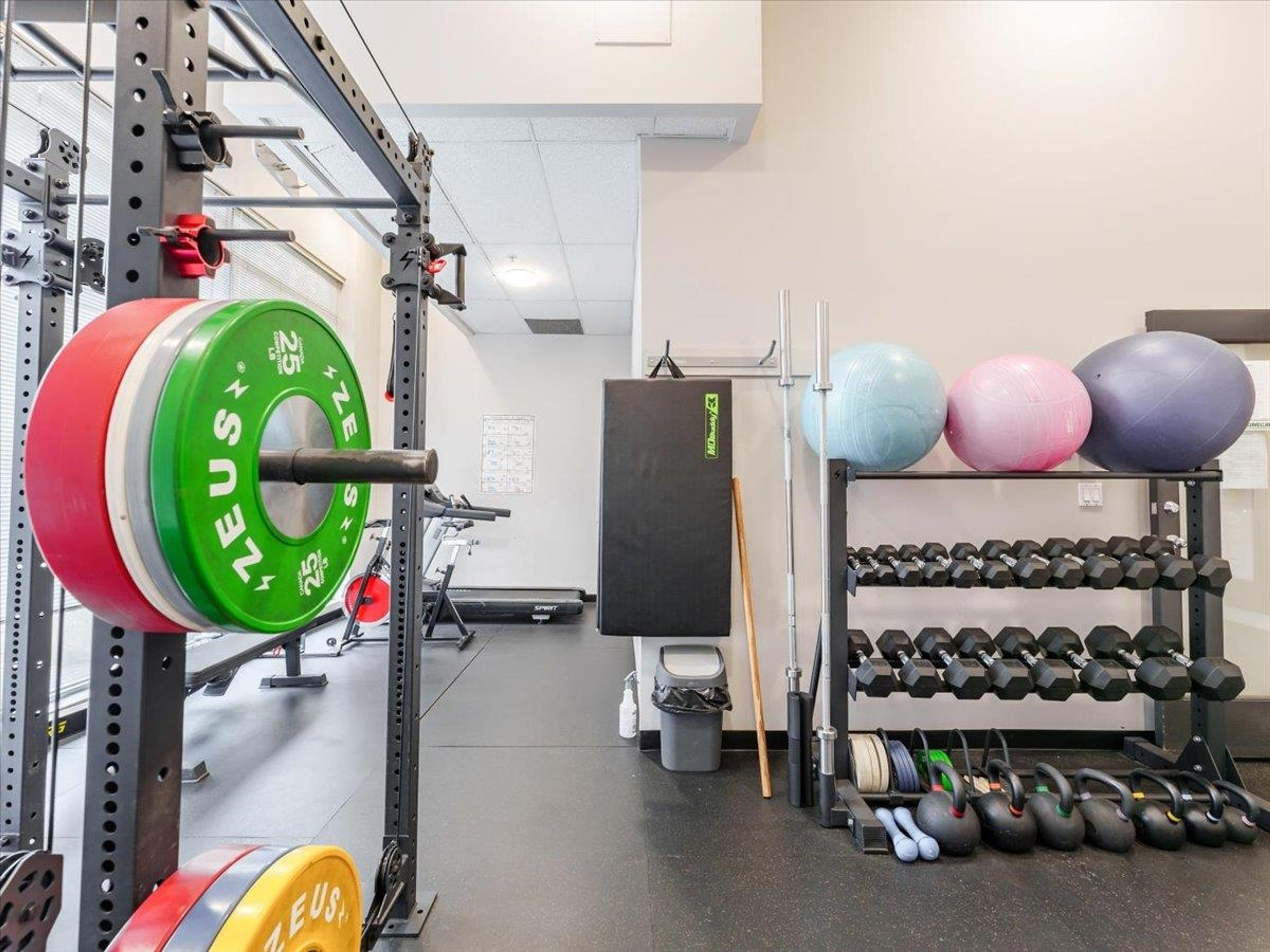 288 E 8th Avenue, Vancouver - Indoor Amenities - Fitness centers / Gyms - Photo 2