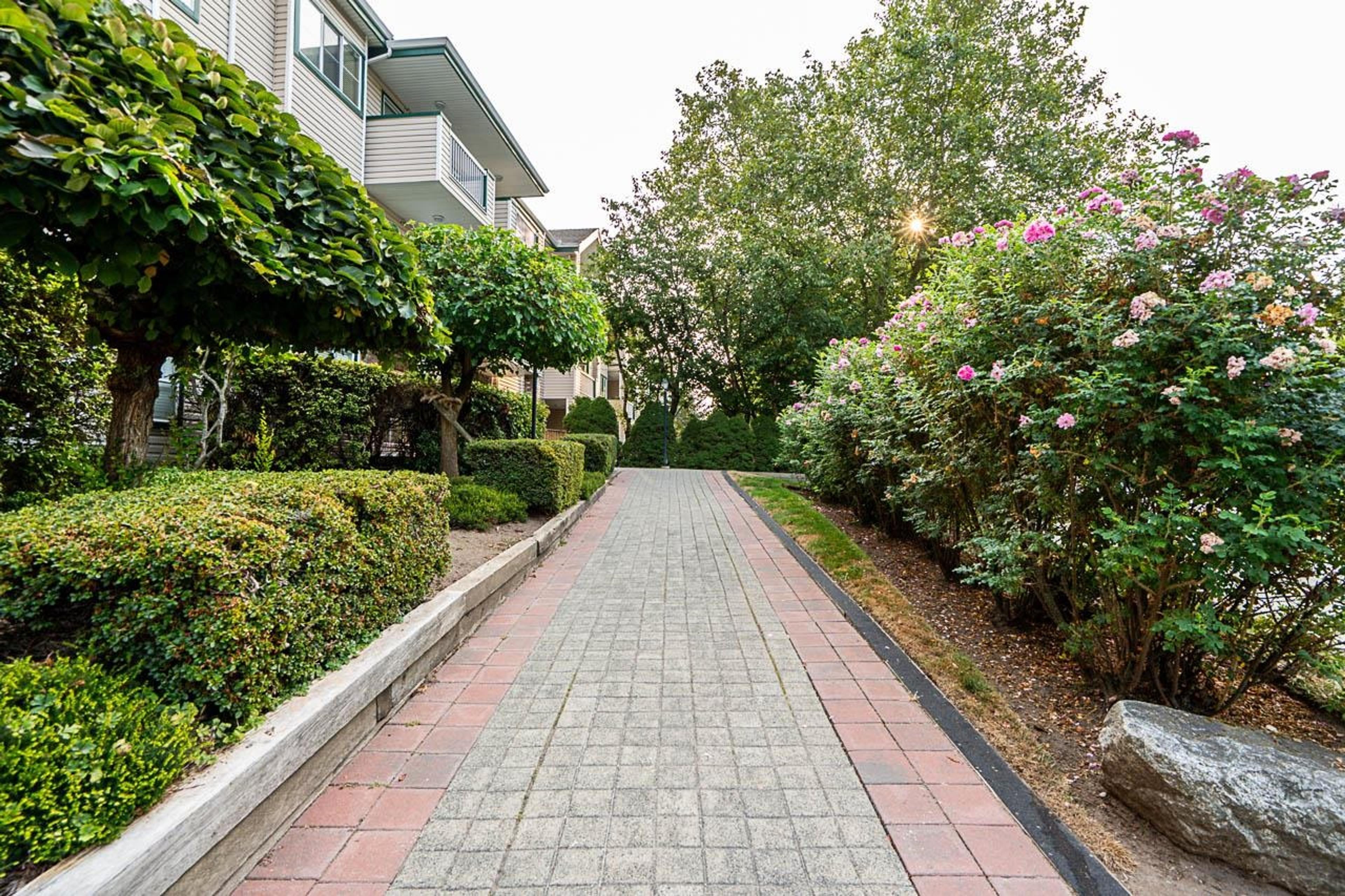 13911 70 Avenue, Surrey - Exteriors - Full Complex View - Photo 5