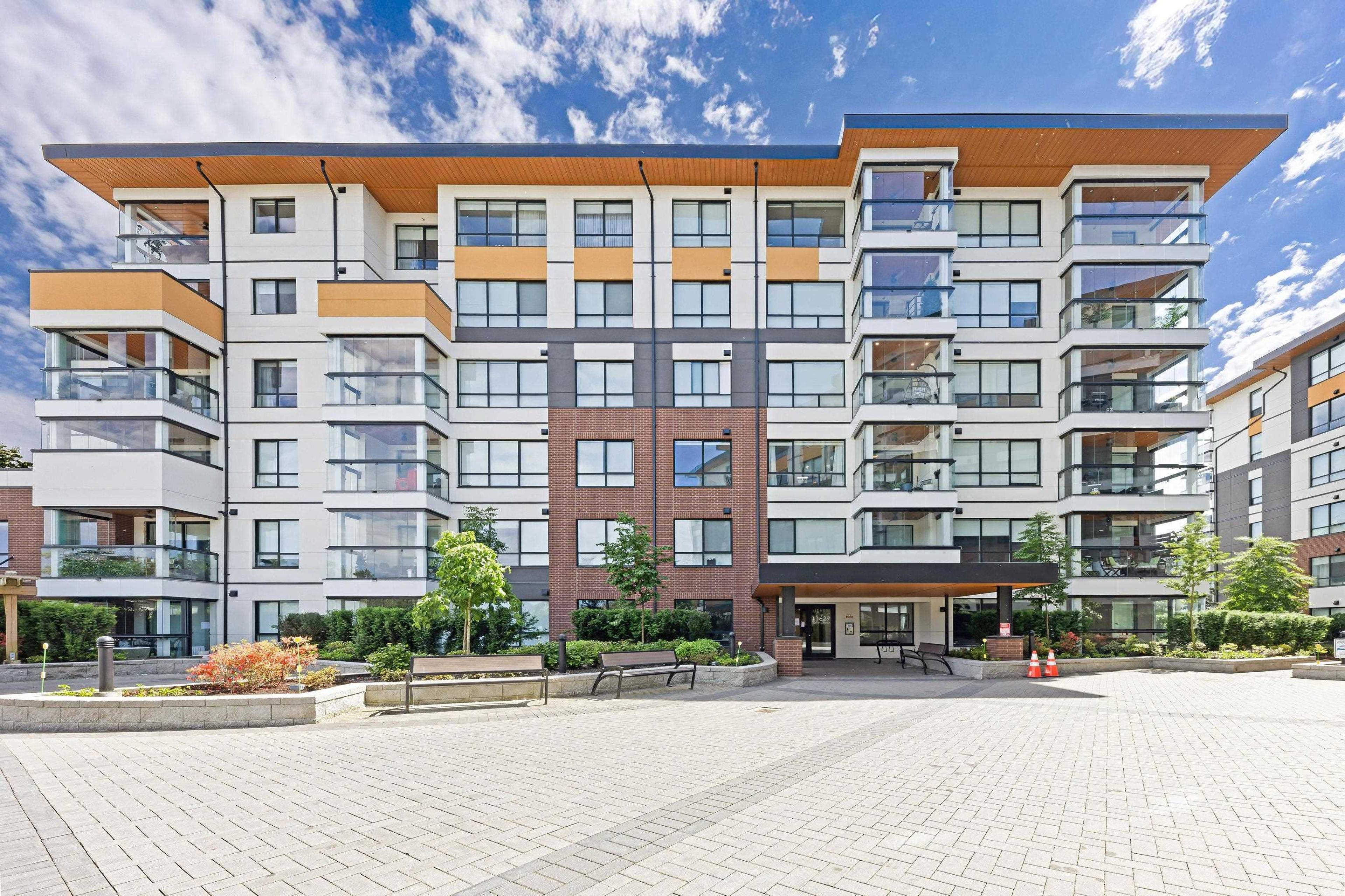 11641 227 Street, Maple Ridge - Exteriors - Full Complex View - Photo 3