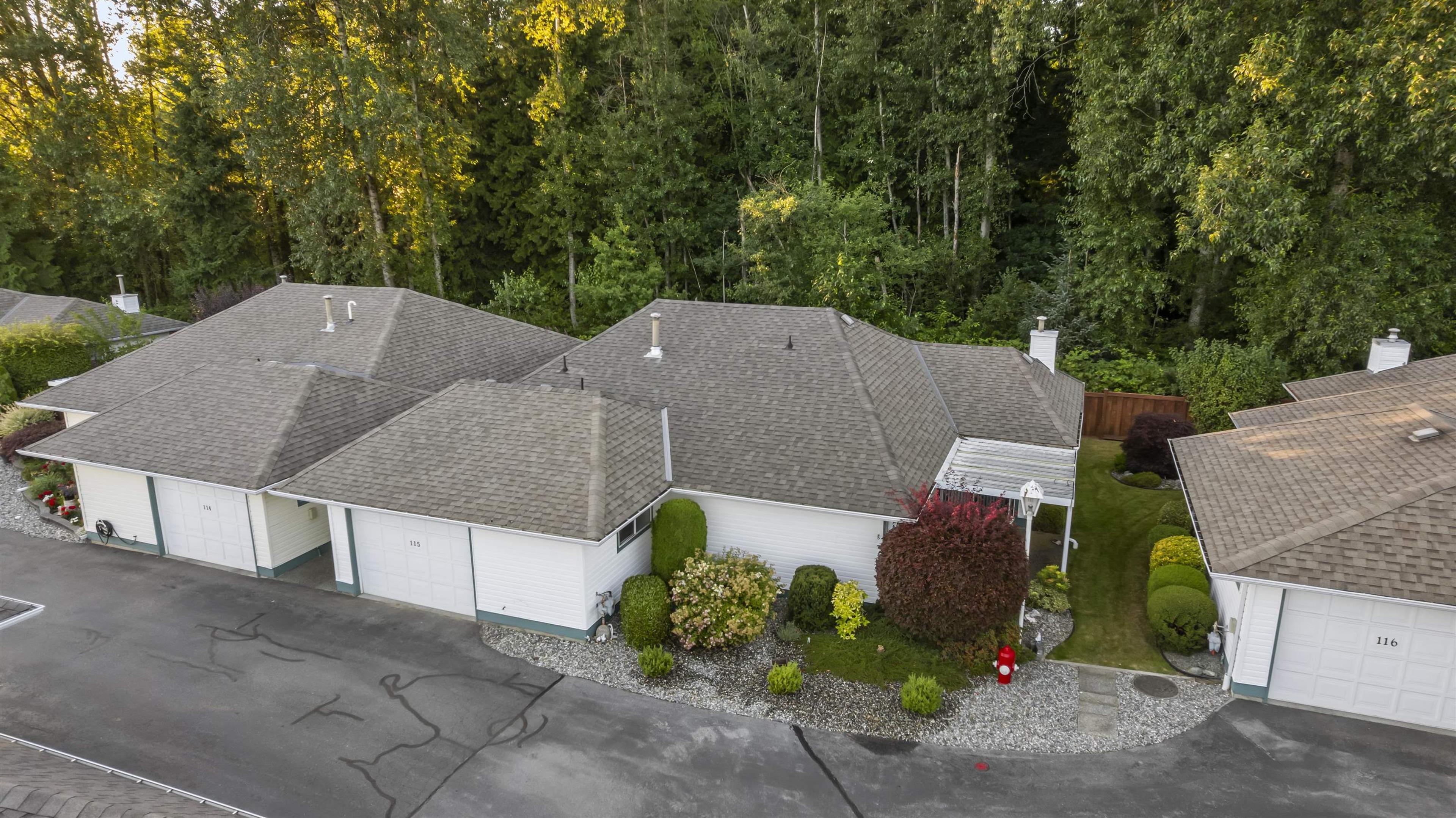 10172 141 Street, Surrey - Exteriors - Full Complex View, Drone/Aerial View - Photo 3