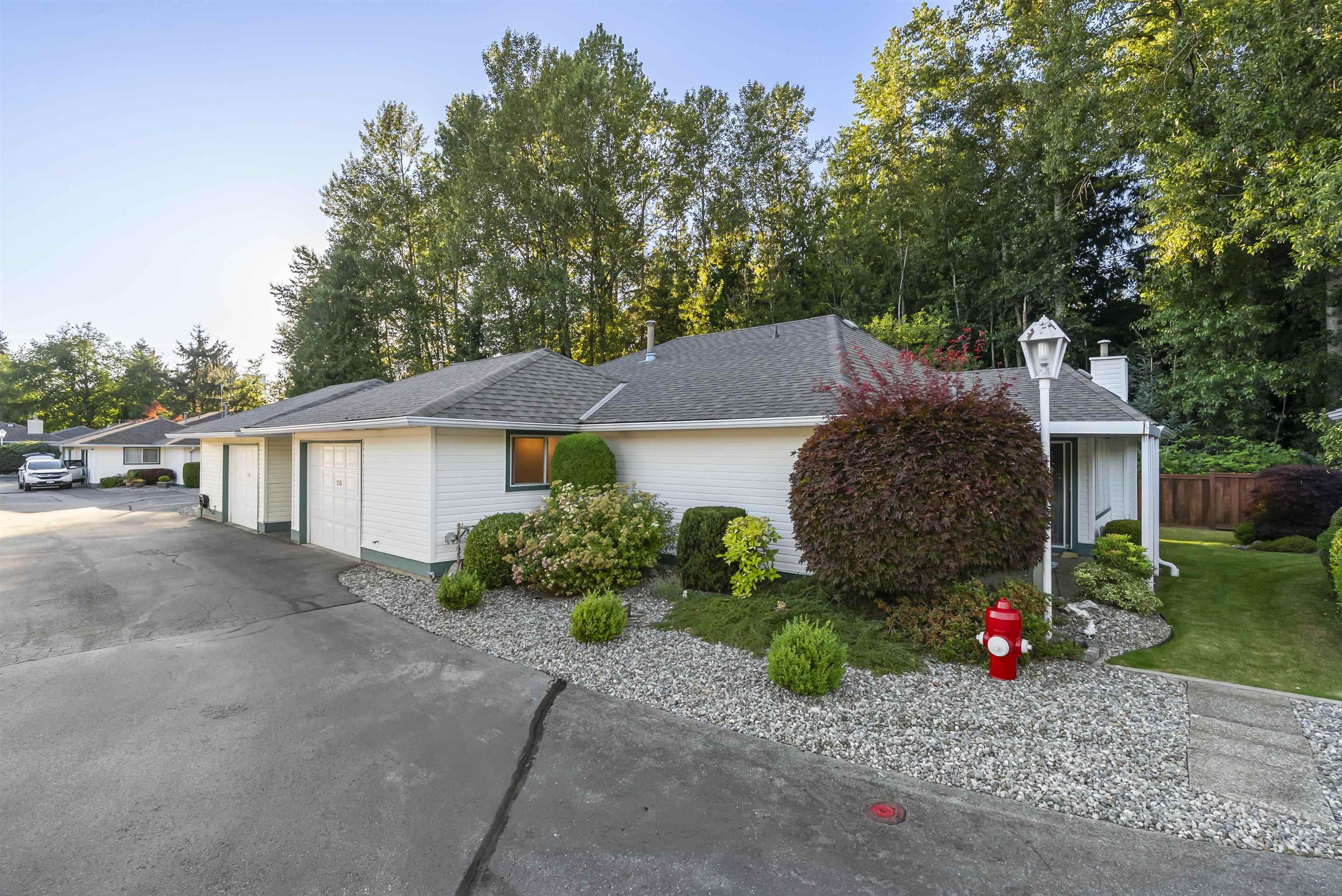 10172 141 Street, Surrey - Exteriors - Full Complex View - Photo 8