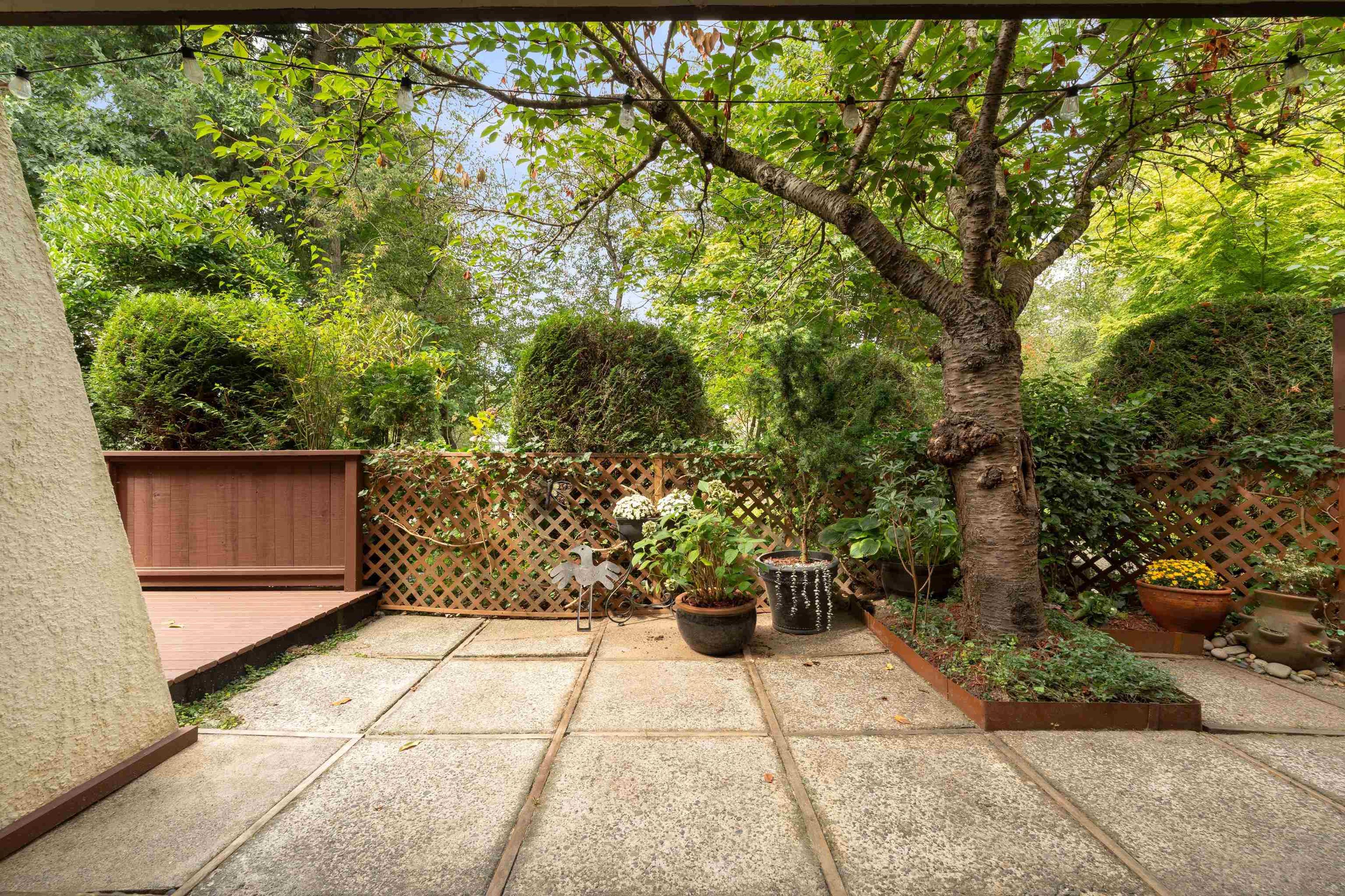 7305 Montecito Drive, Burnaby - Outdoor Amenities - Garden / Yard/ Backyard/ Porch/ Deck - Photo 2