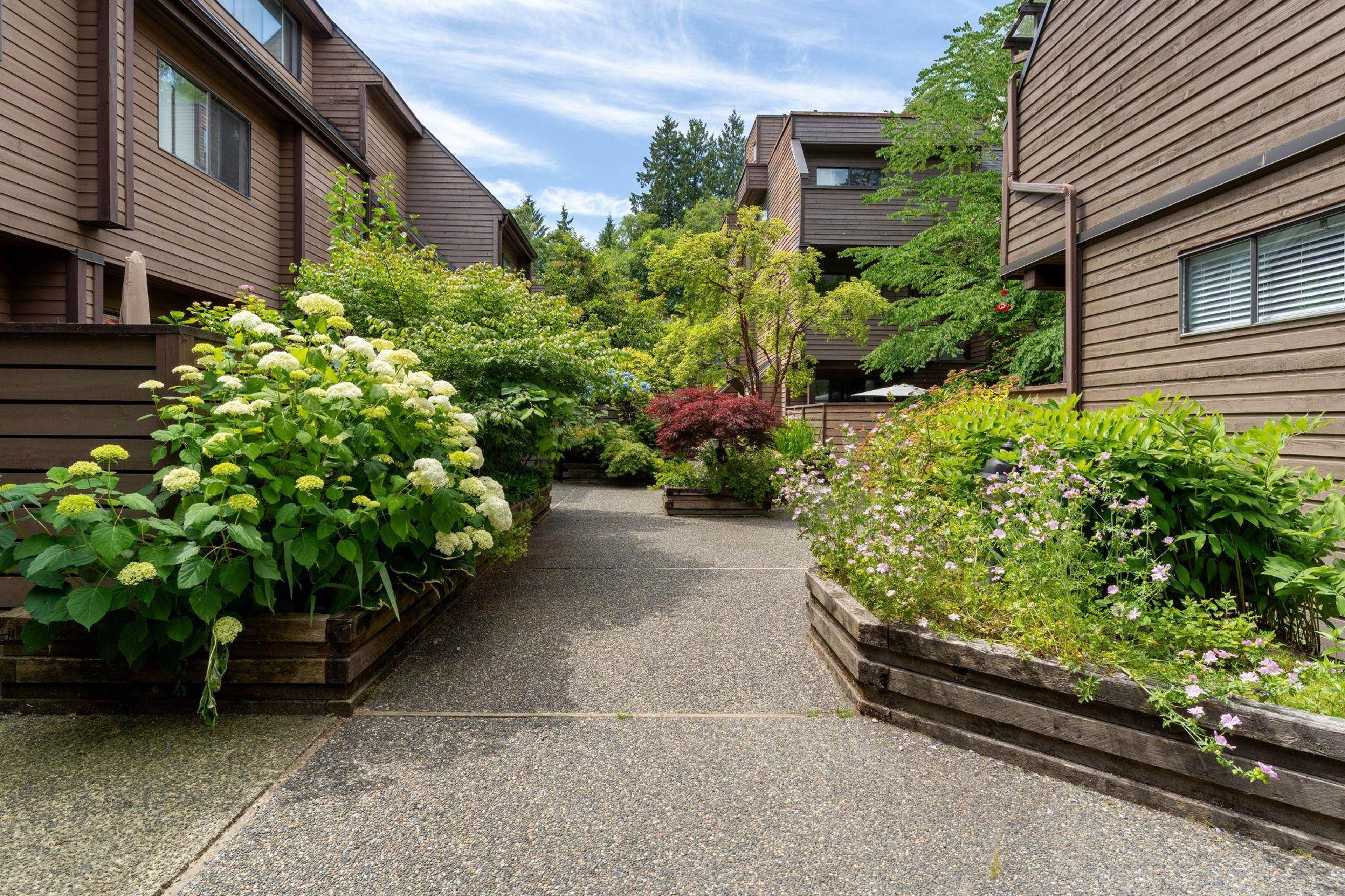 3349 Mountain Highway, North Vancouver - Exteriors - Full Complex View - Photo 2