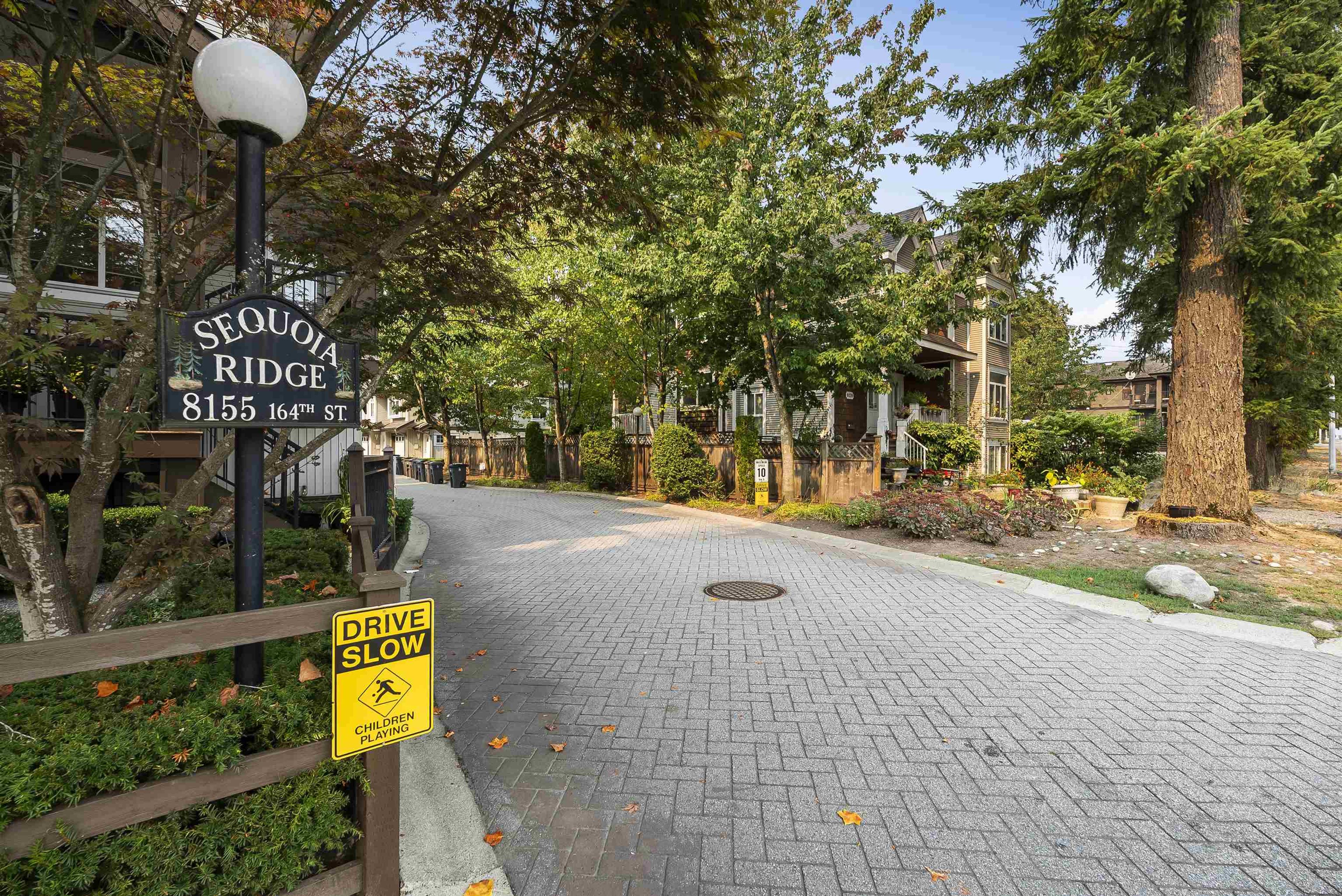 8155 164 Street, Surrey - Exteriors - Full Complex View - Photo 3