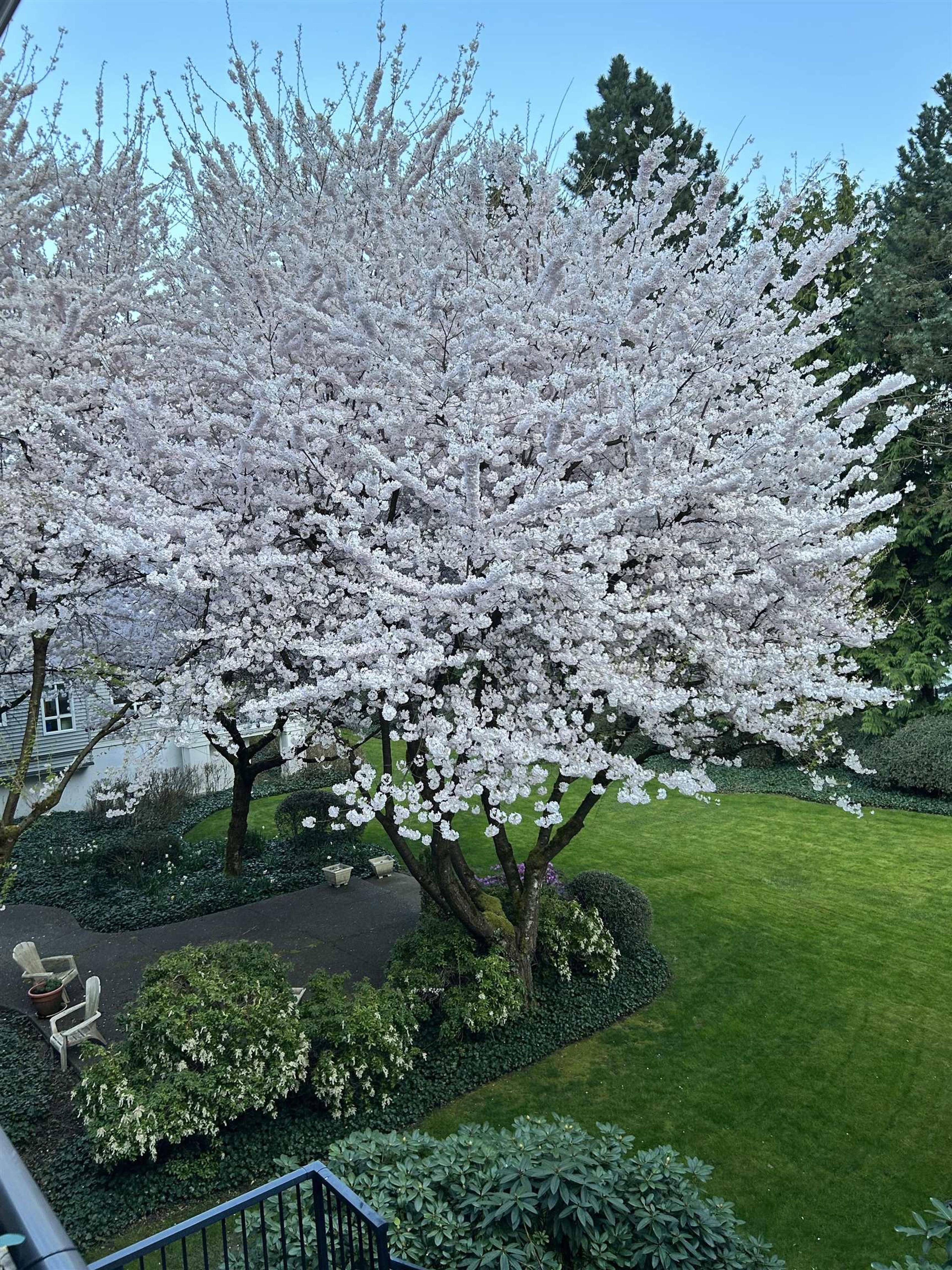 20976 56 Avenue, Langley - Exteriors - Photo 5