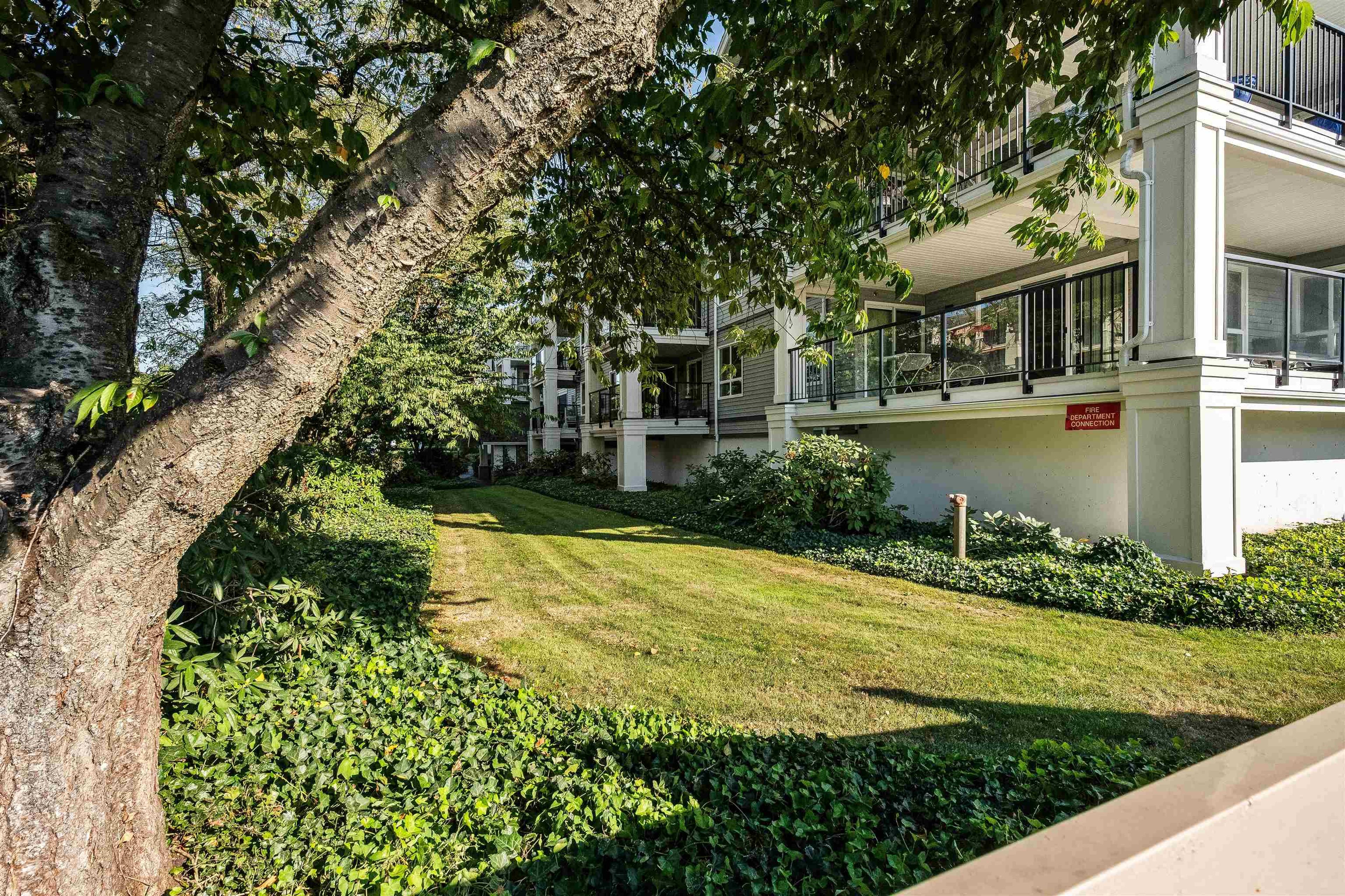 20976 56 Avenue, Langley - Exteriors - Photo 6