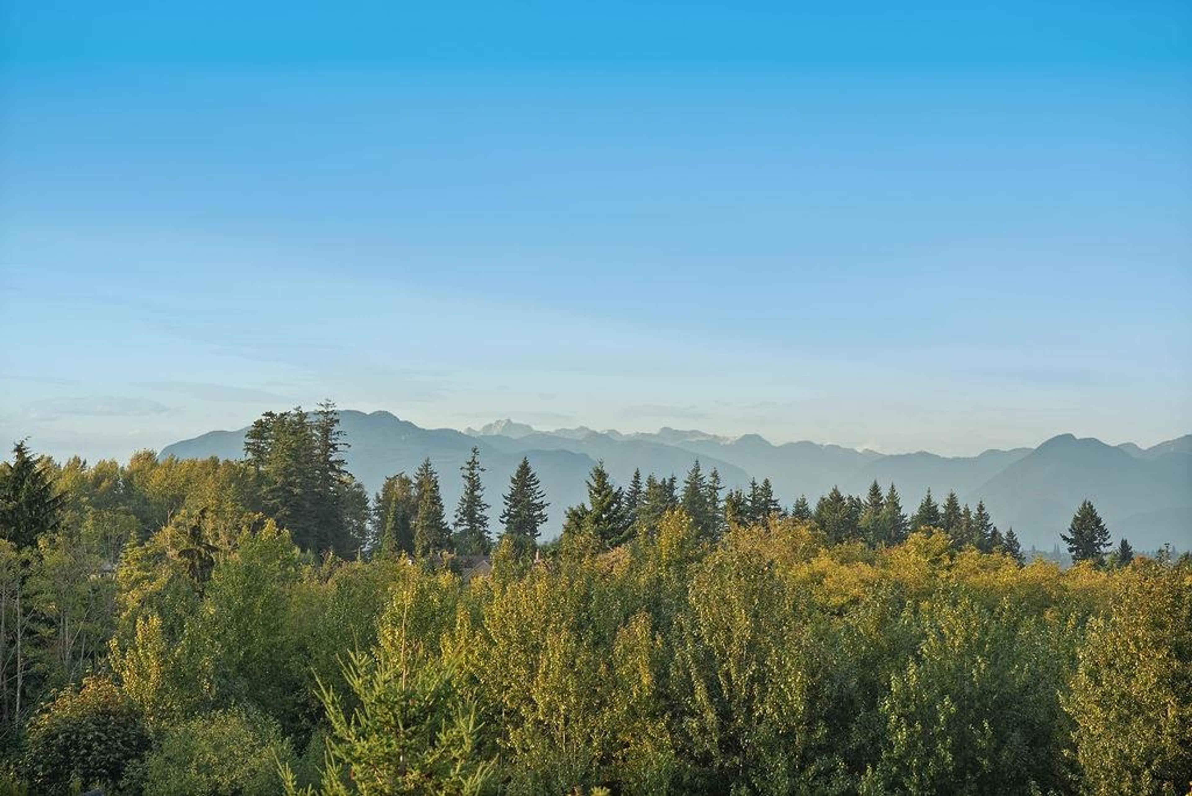 2955 156 Street, Surrey - Exteriors - Full Complex View, Drone/Aerial View - Photo 1