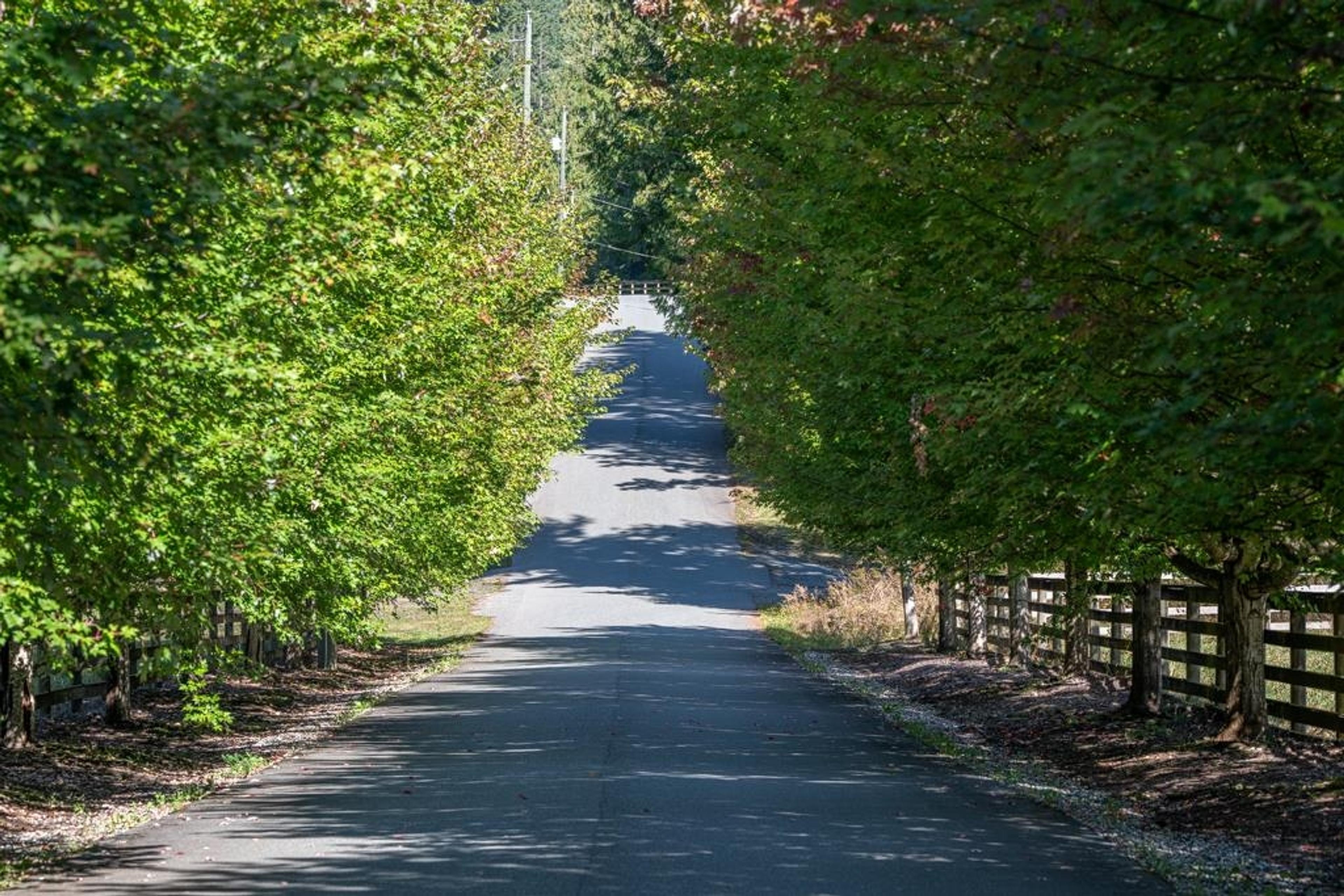 1400 Maple Rock Drive, Columbia Valley - Exteriors - Photo 1