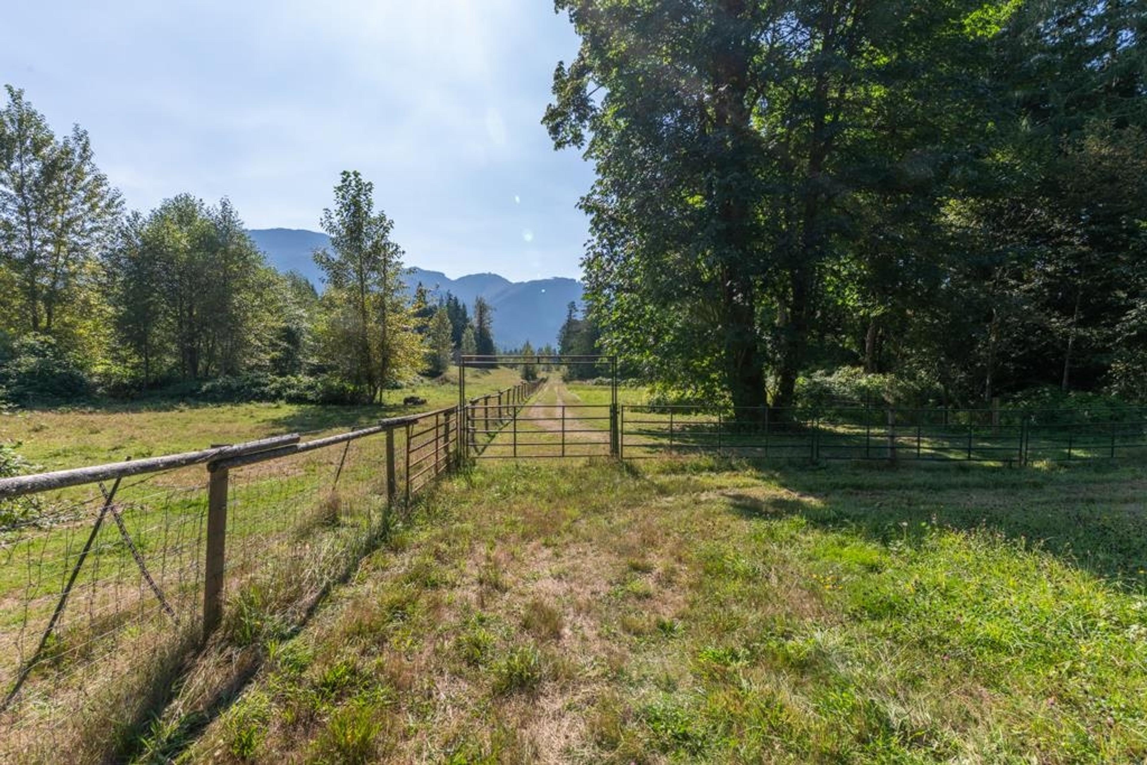 1400 Maple Rock Drive, Columbia Valley - Exteriors - Photo 3