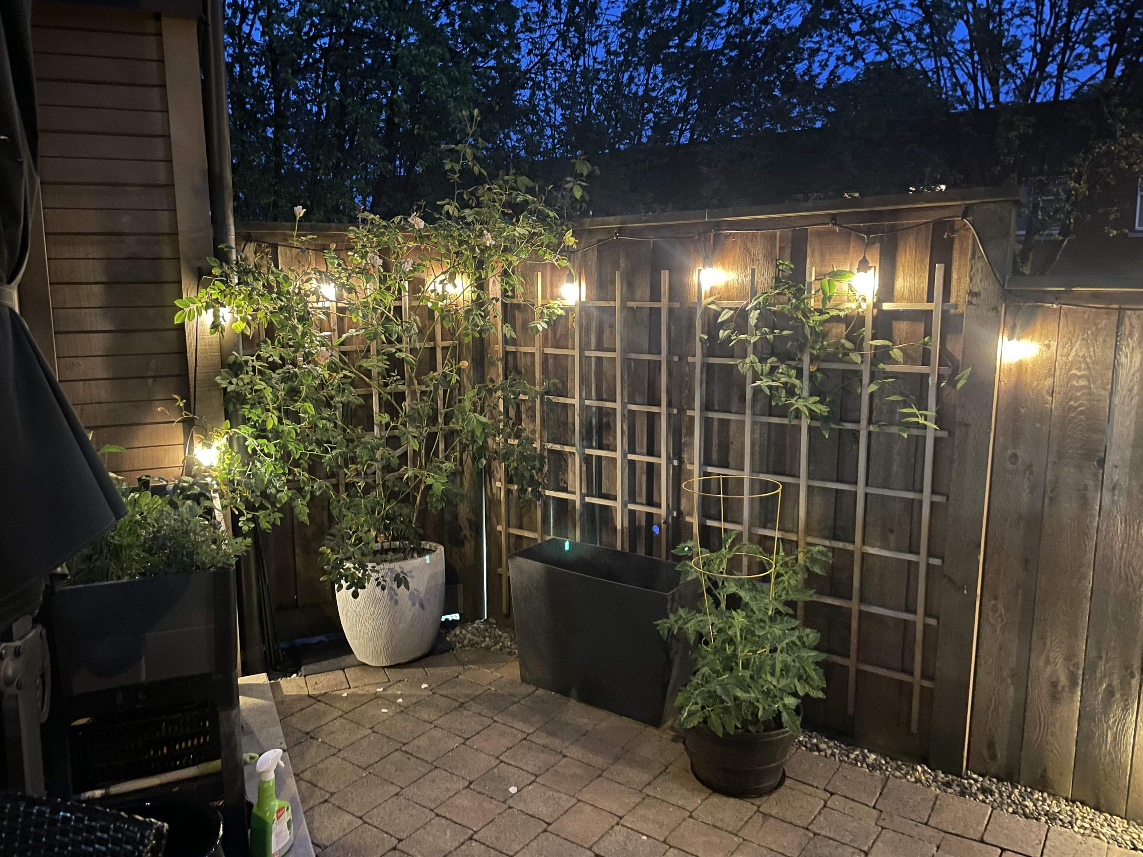 2410 Cornwall Avenue, Vancouver - Outdoor Amenities - Garden / Yard/ Backyard/ Porch/ Deck - Photo 6