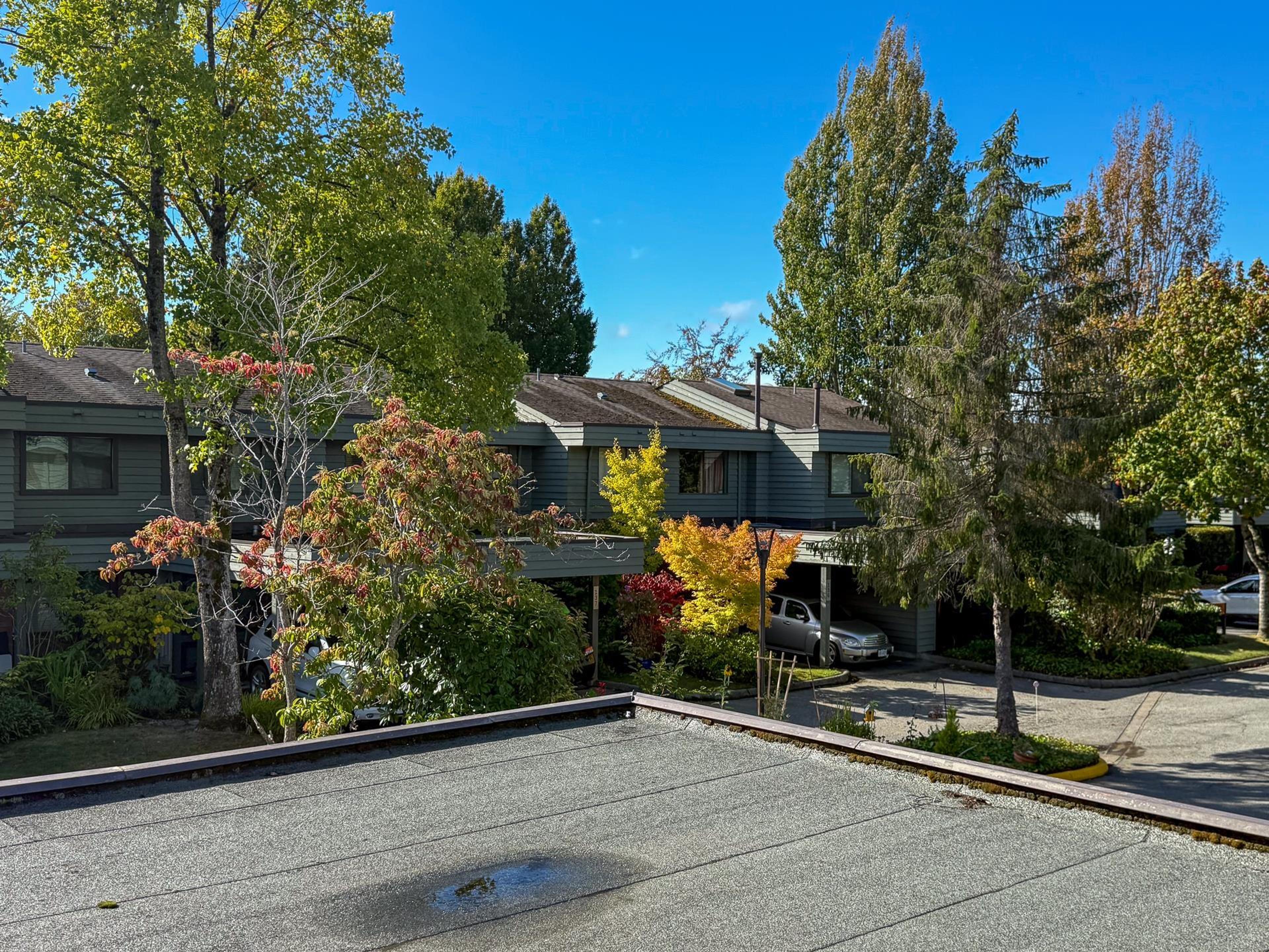 3031 Williams Road, Richmond - Exteriors - Full Complex View - Photo 4