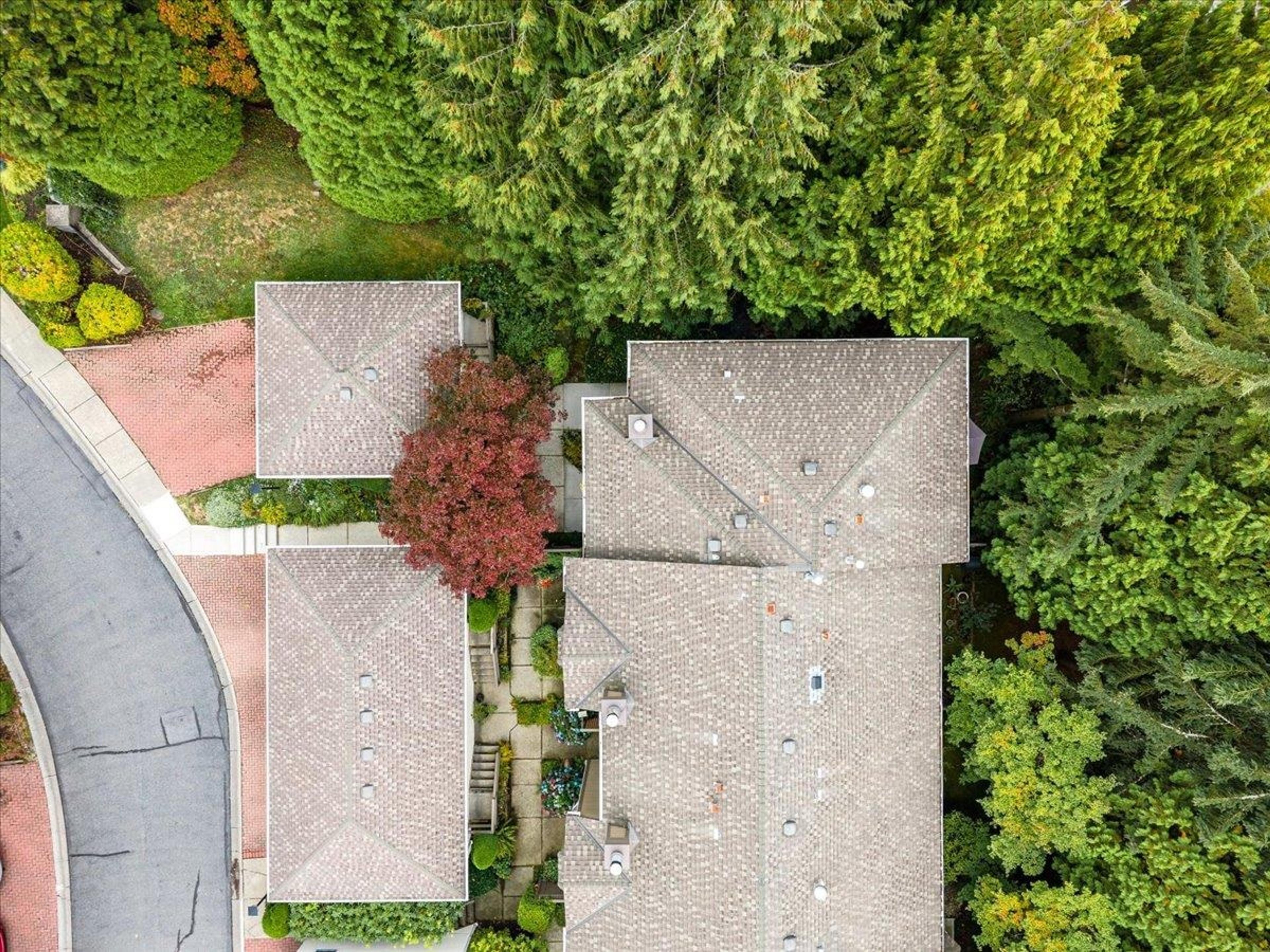 8885 Larkfield Drive, Burnaby - Exteriors - Full Complex View, Drone/Aerial View - Photo 4