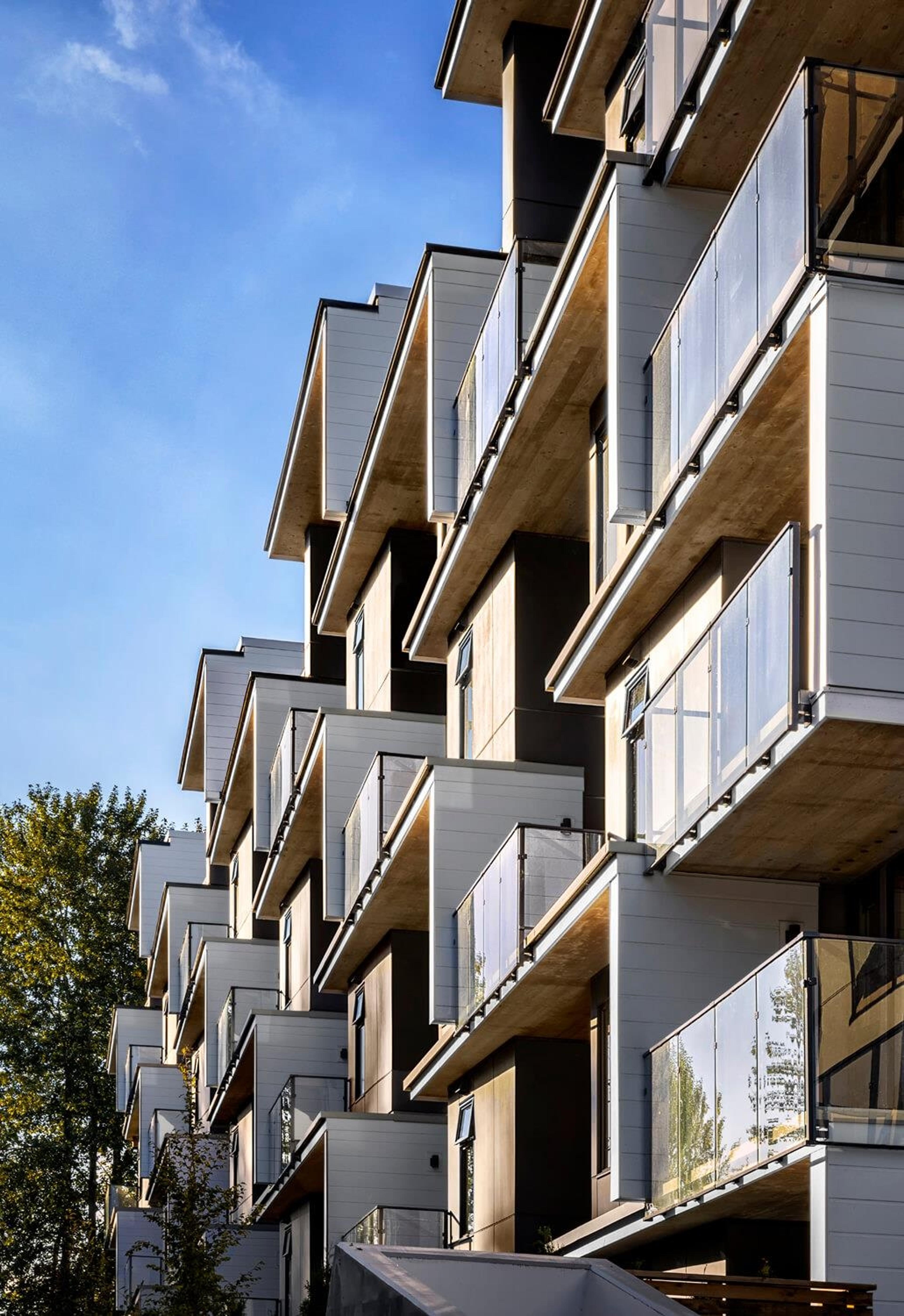 310 Salter Street, New Westminster - Exteriors - Photo 5