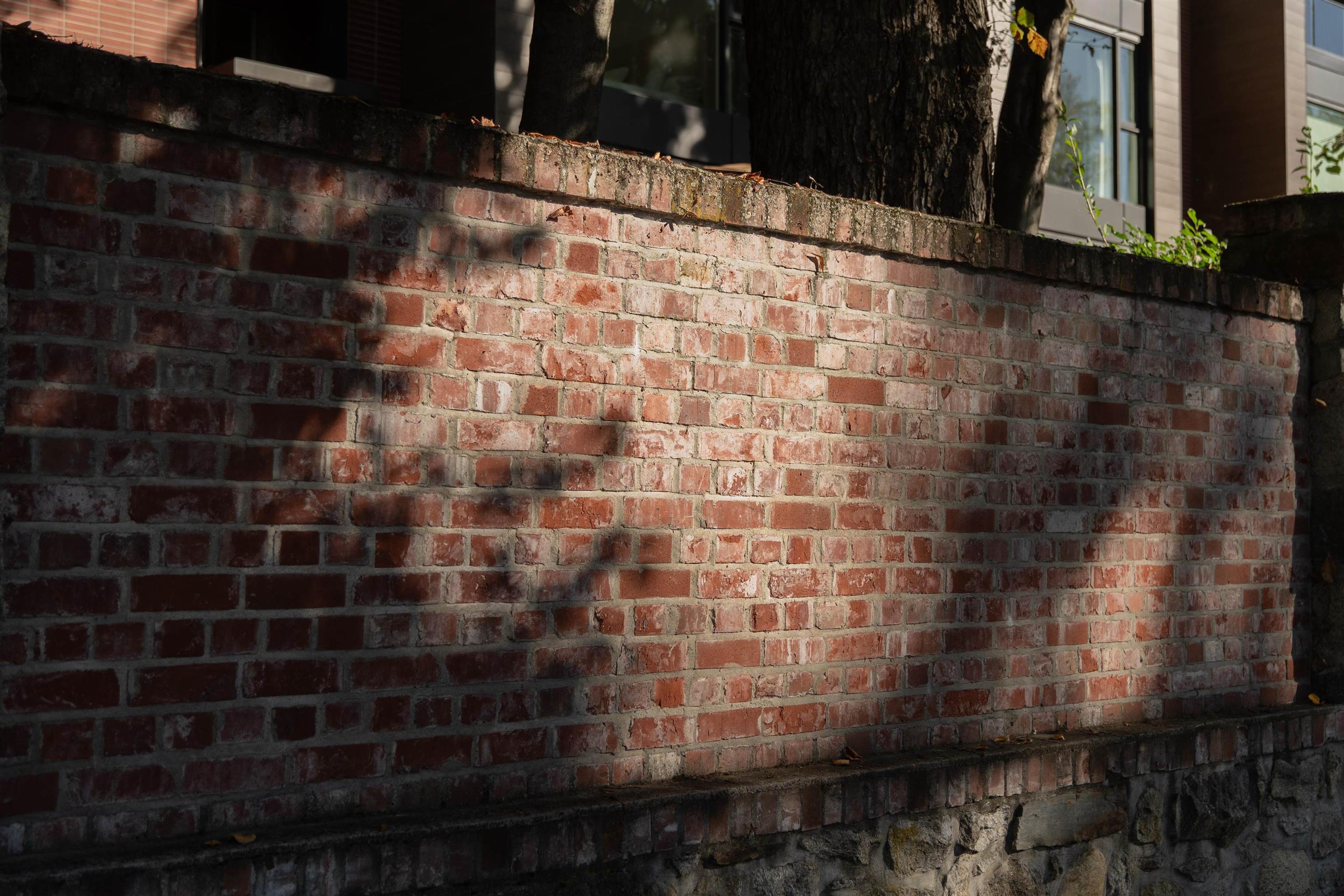 1561 W 57th Avenue, Vancouver - Exteriors - Photo 8