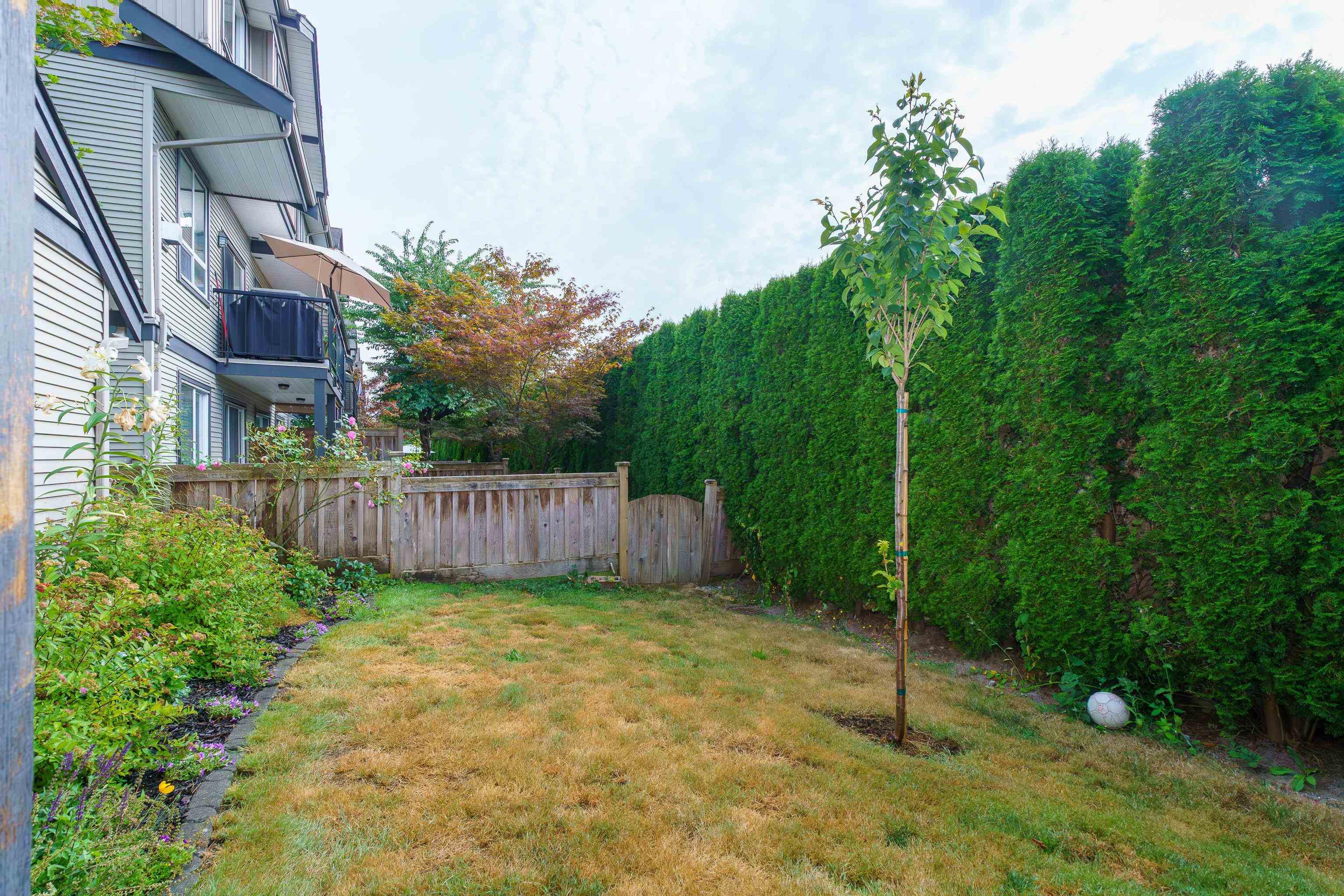 3127 Skeena Street, Port Coquitlam - Exteriors - Photo 3