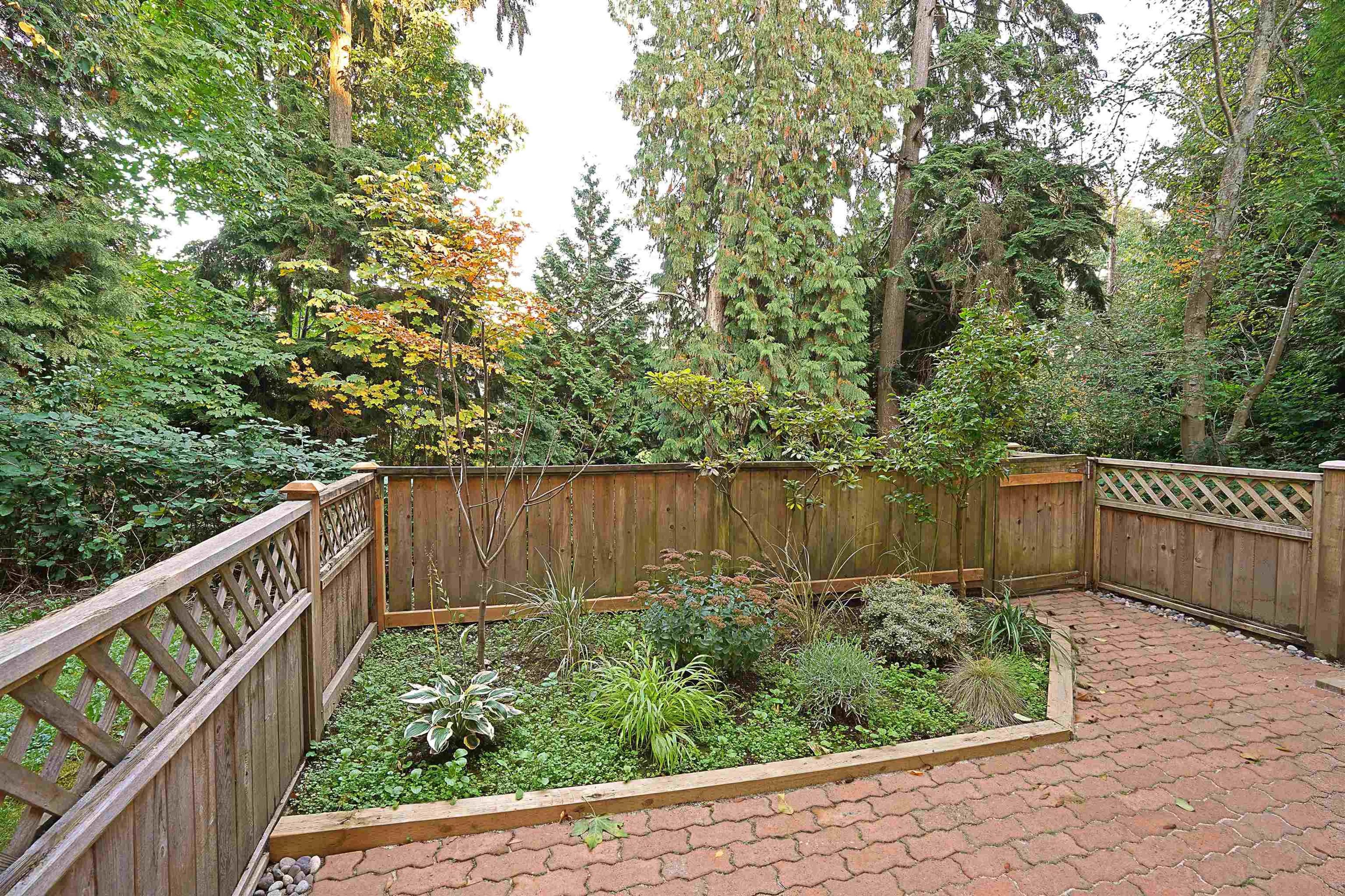 2082 Springer Avenue, Burnaby - Outdoor Amenities - Garden / Yard/ Backyard/ Porch/ Deck - Photo 1