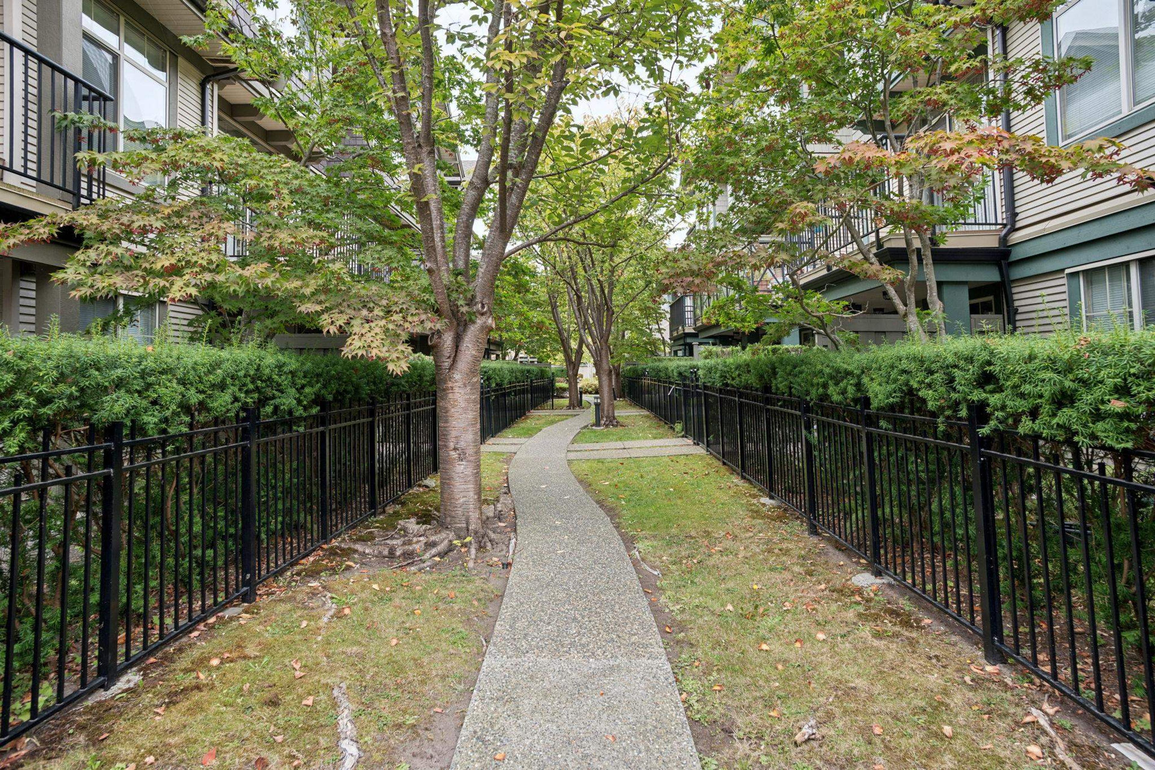 6233 Birch Street, Richmond - Exteriors - Full Complex View - Photo 2