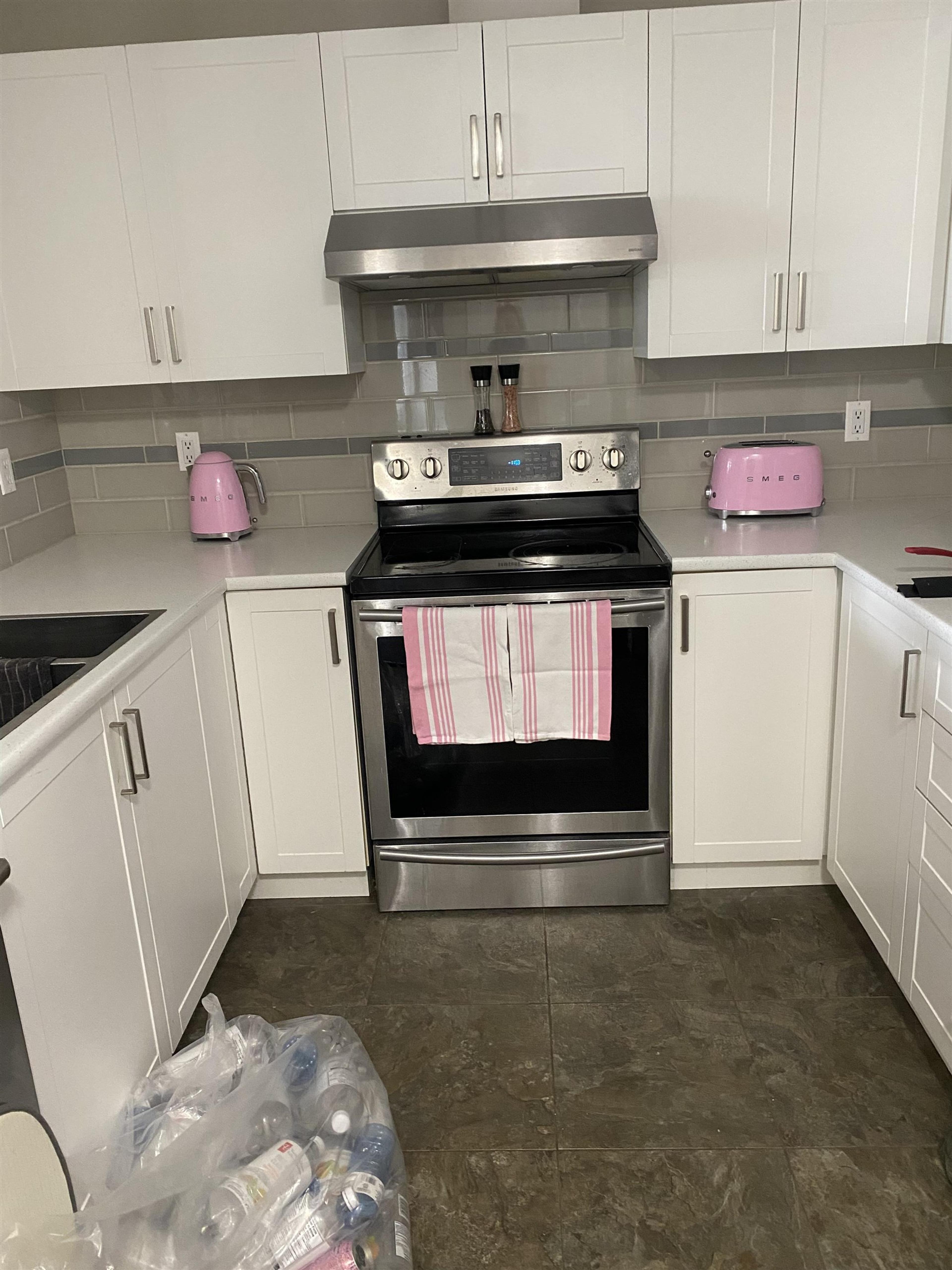 12207 224 Street, Maple Ridge - Exteriors - Photo 3