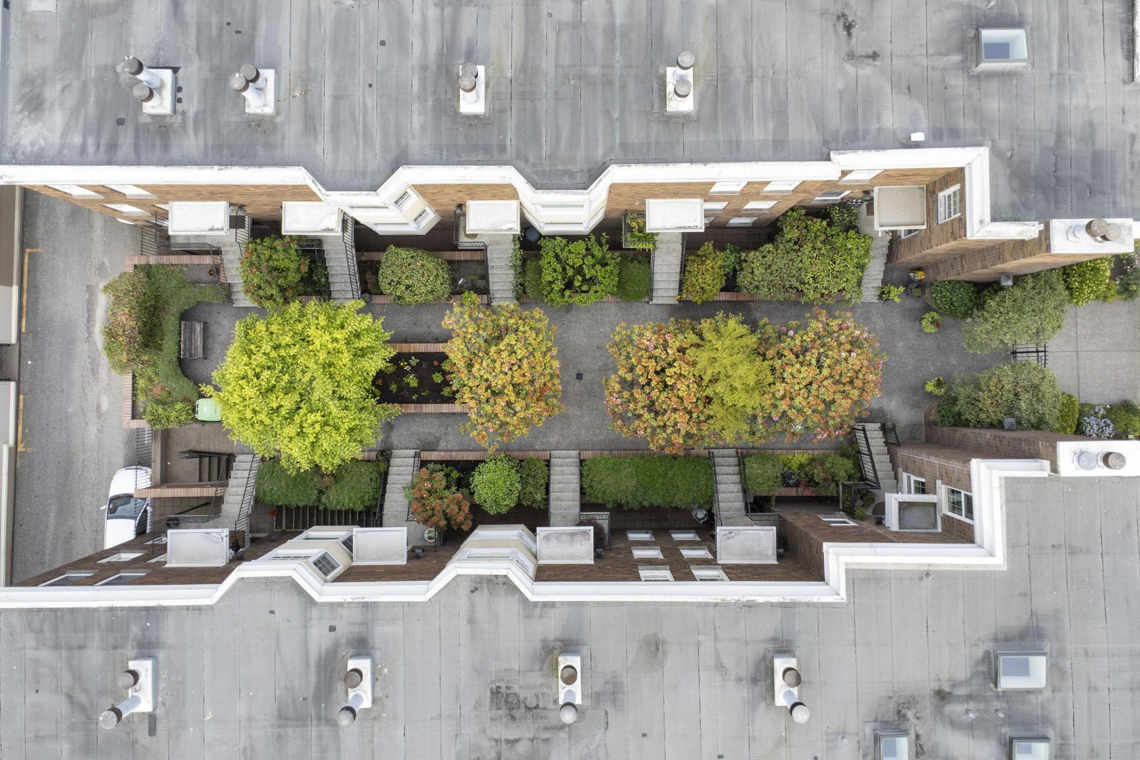 1365 W 7th Avenue, Vancouver - Exteriors - Full Complex View, Drone/Aerial View - Photo 5