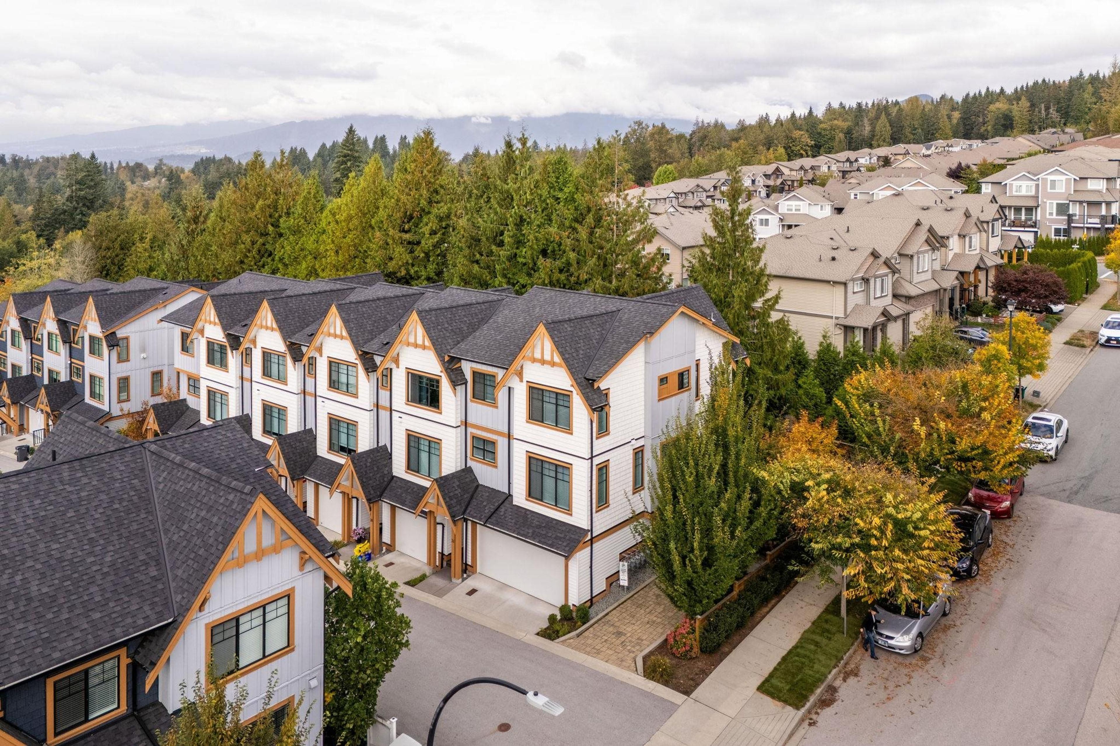 13263 236 Street, Maple Ridge - Exteriors - Full Complex View, Drone/Aerial View - Photo 8