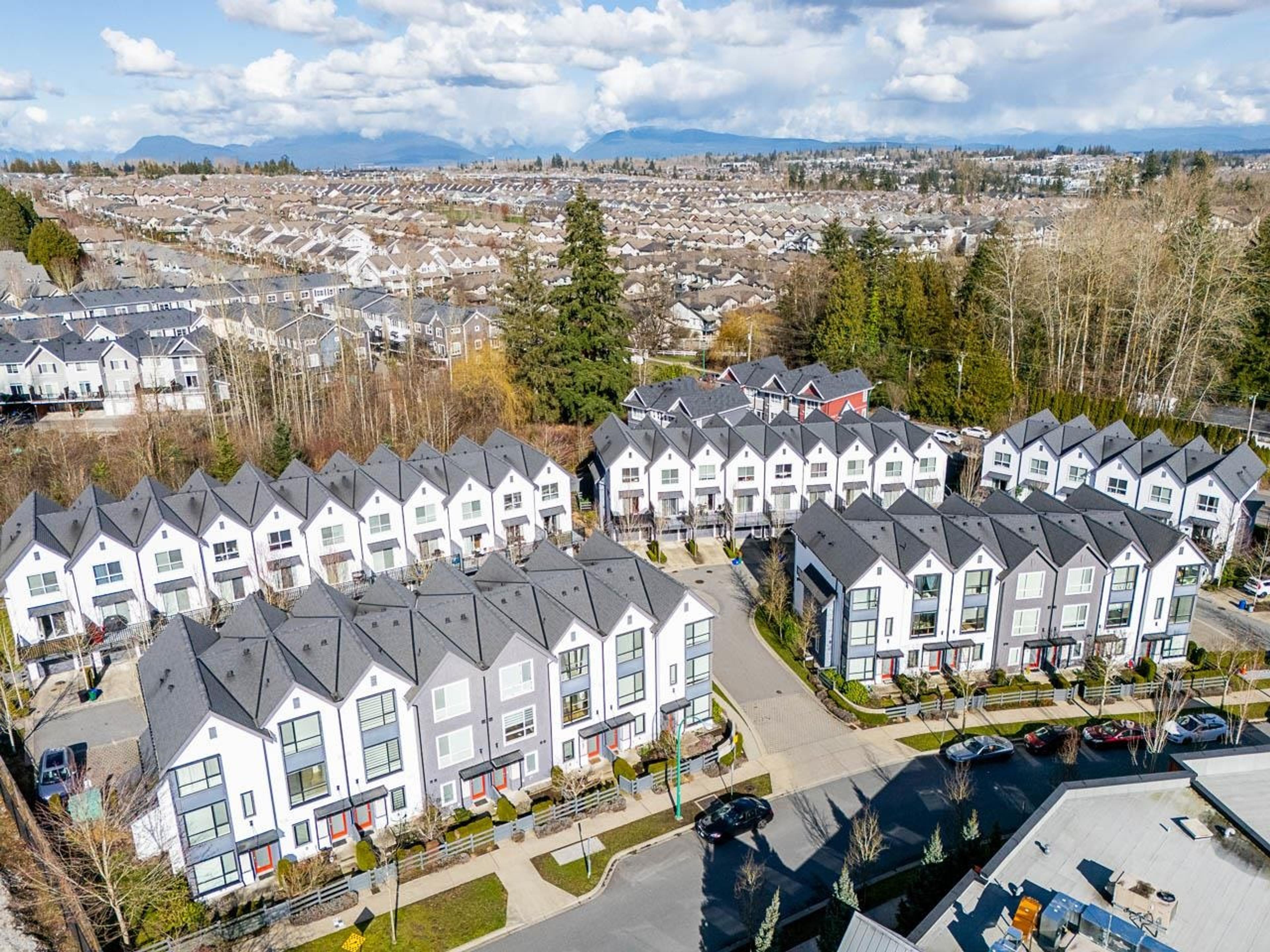 19159 Watkins Drive, Surrey - Exteriors - Full Complex View, Drone/Aerial View - Photo 11