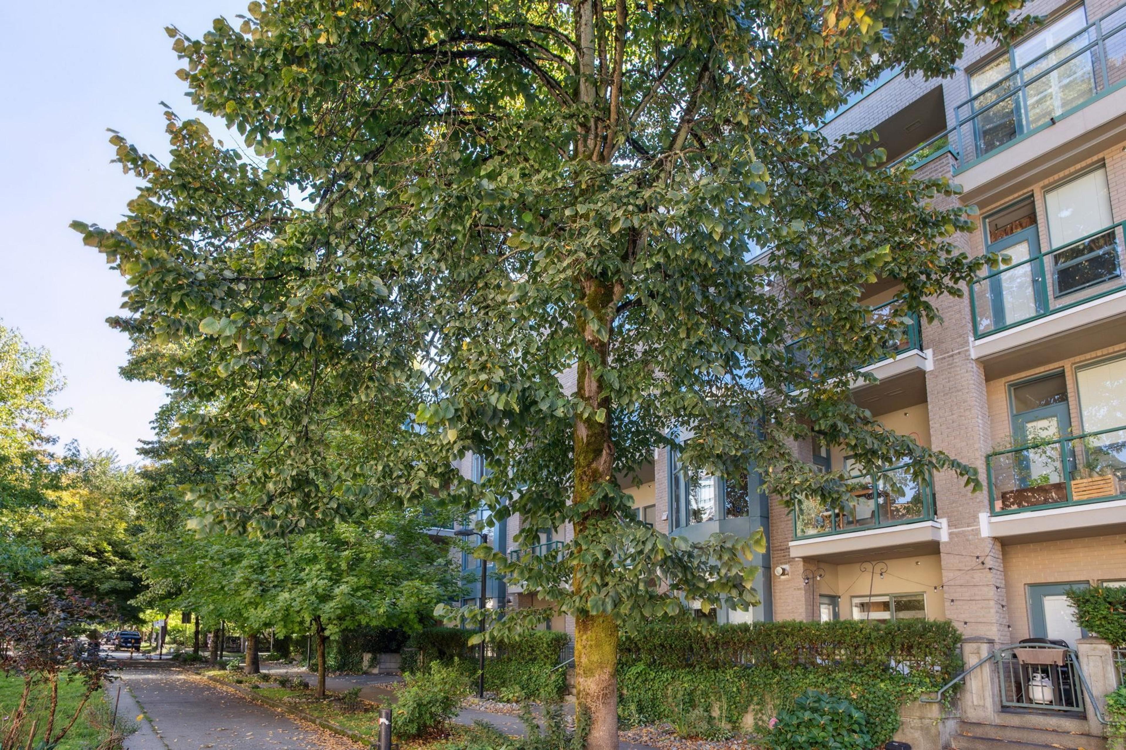 2028 W 11th Avenue, Vancouver - Exteriors - Photo 1