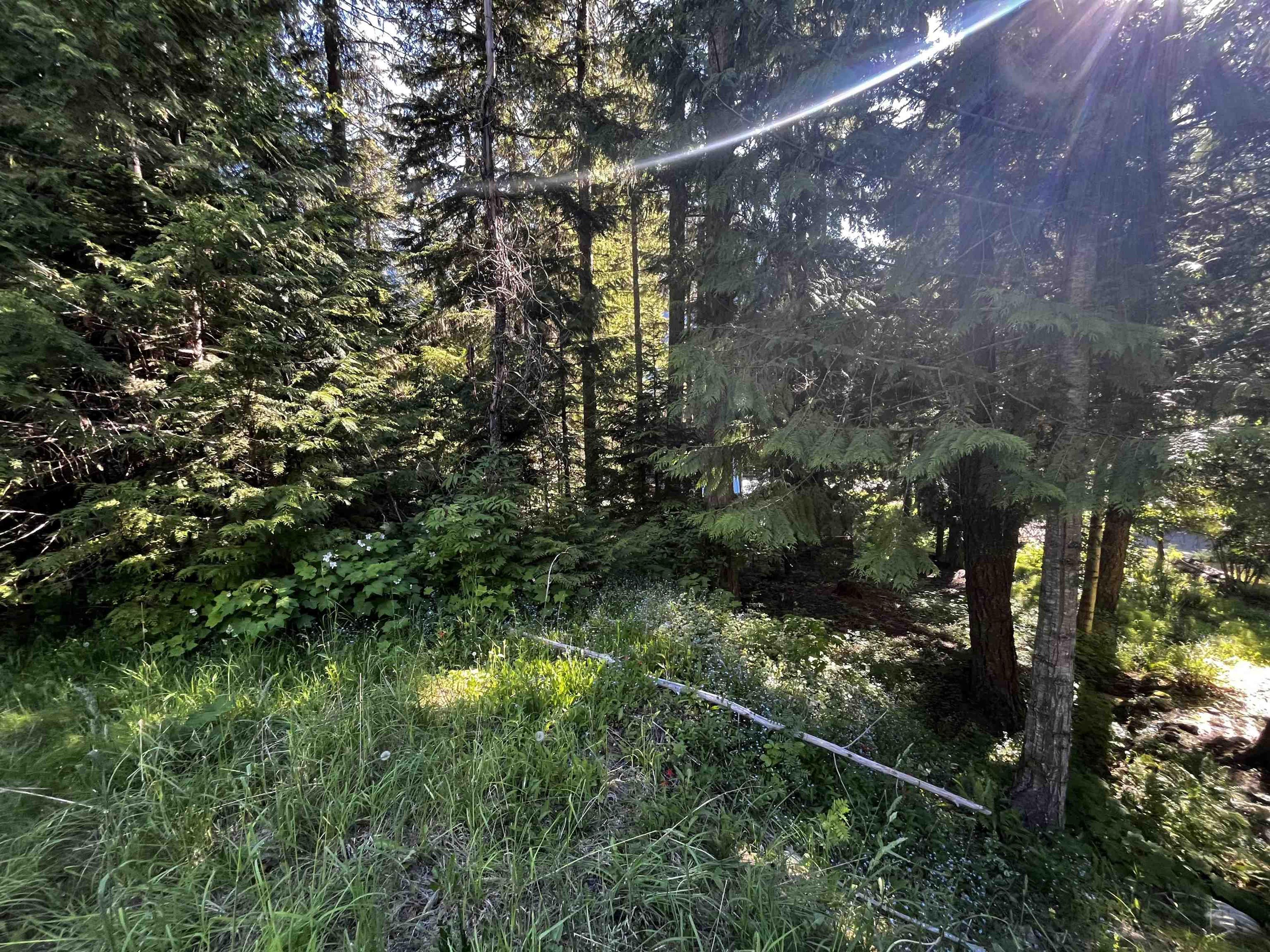 14902 Parkwood Street, Sunshine Valley - Outdoor Amenities - Garden / Yard/ Backyard/ Porch/ Deck - Photo 1