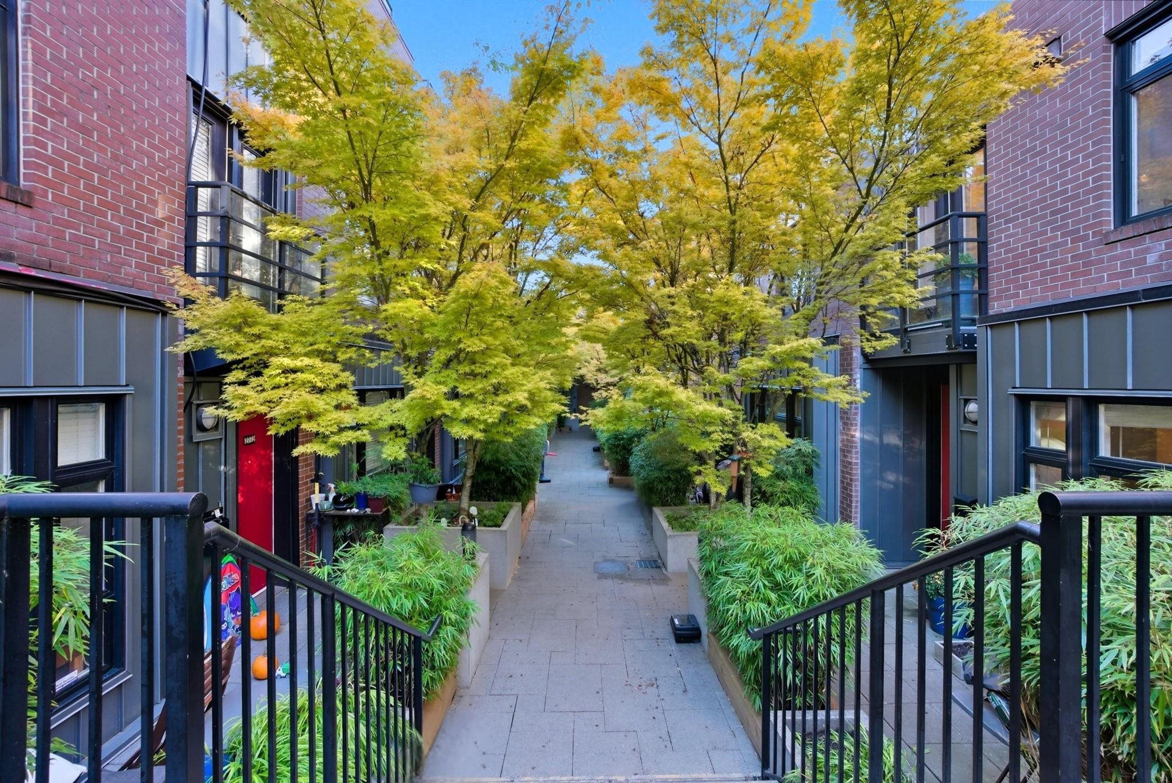 2705 Guelph Street, Vancouver - Exteriors - Full Complex View - Photo 3