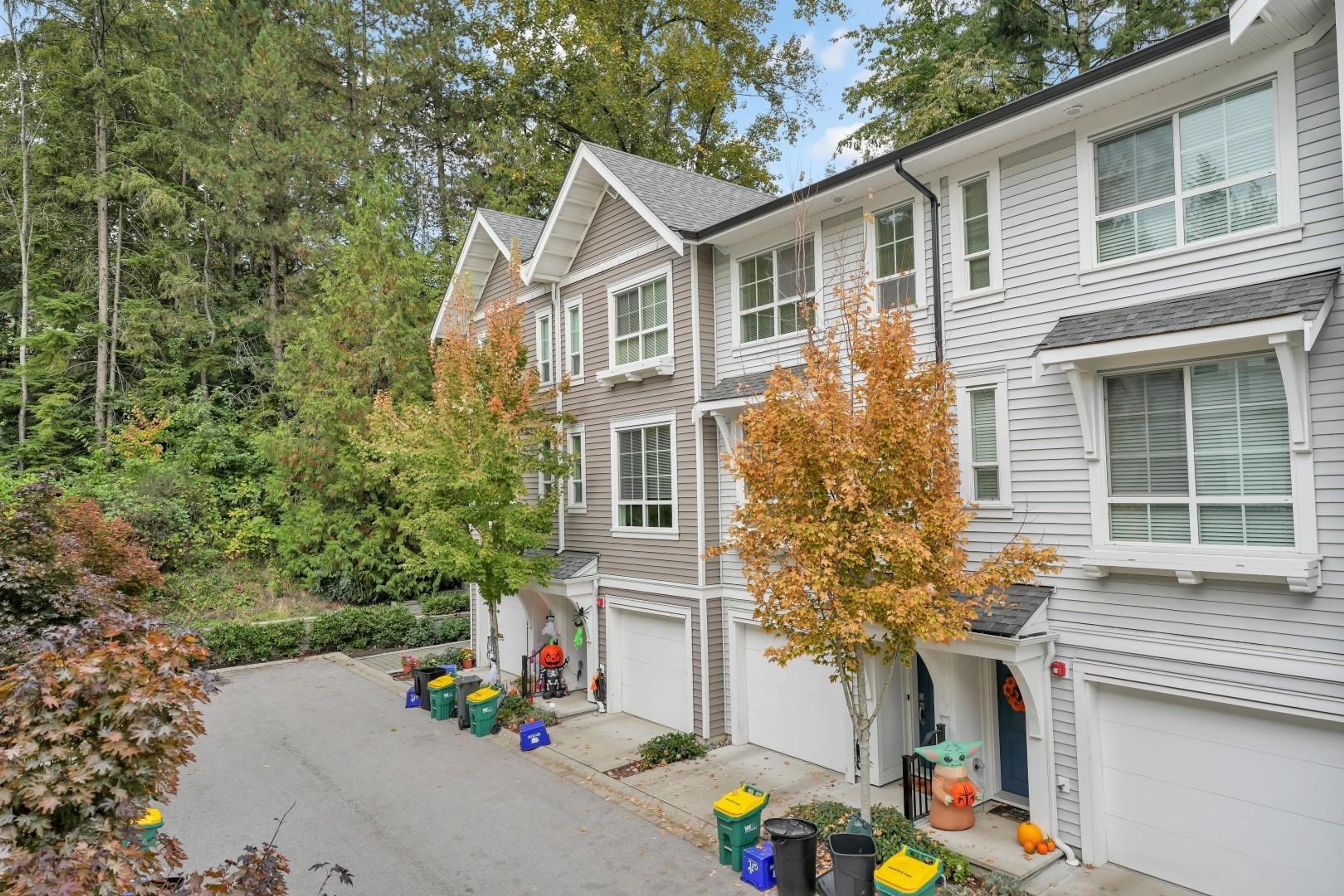 19696 Hammond Road, Pitt Meadows - Exteriors - Full Complex View - Photo 2