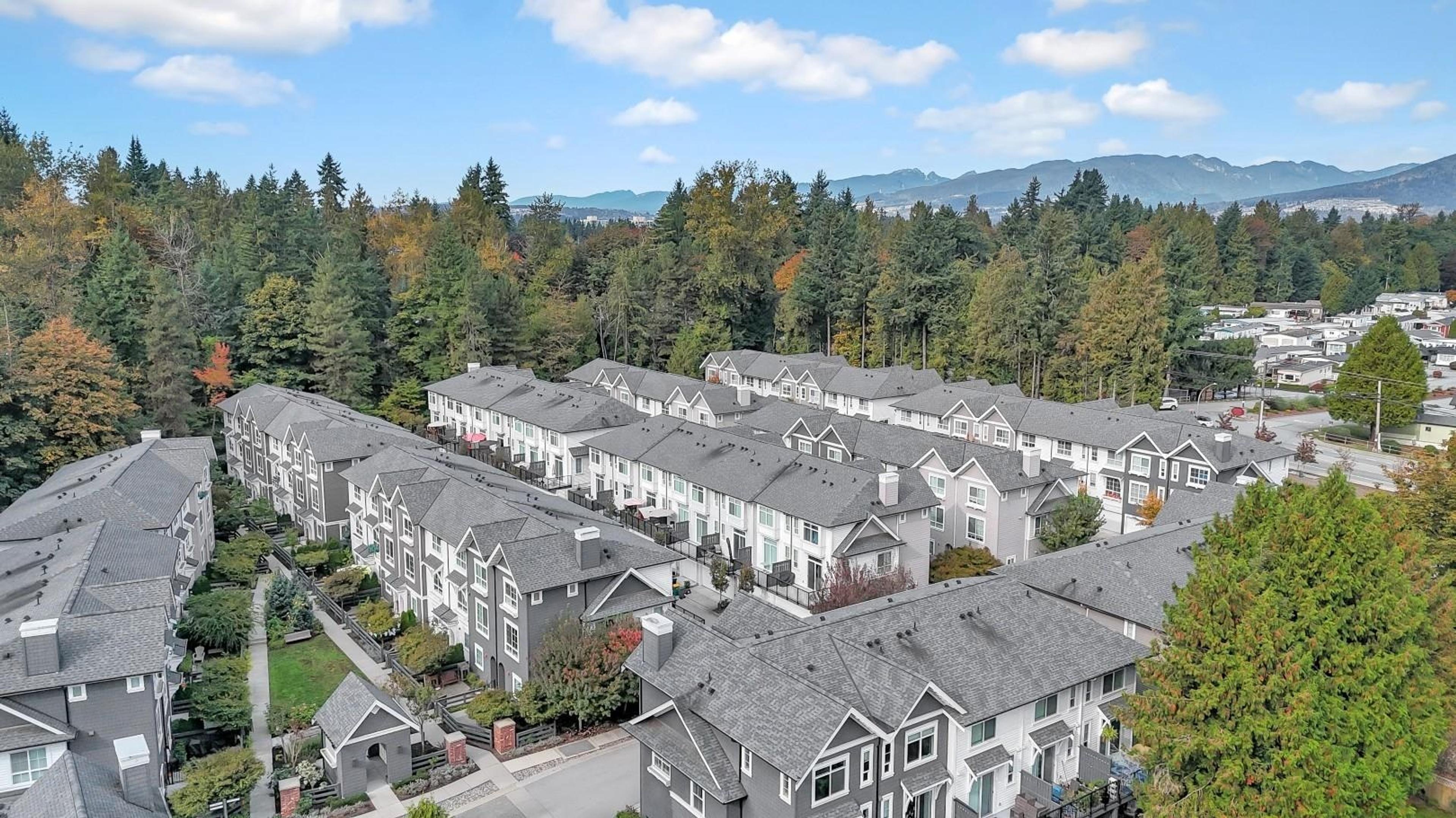 19696 Hammond Road, Pitt Meadows - Exteriors - Photo 3