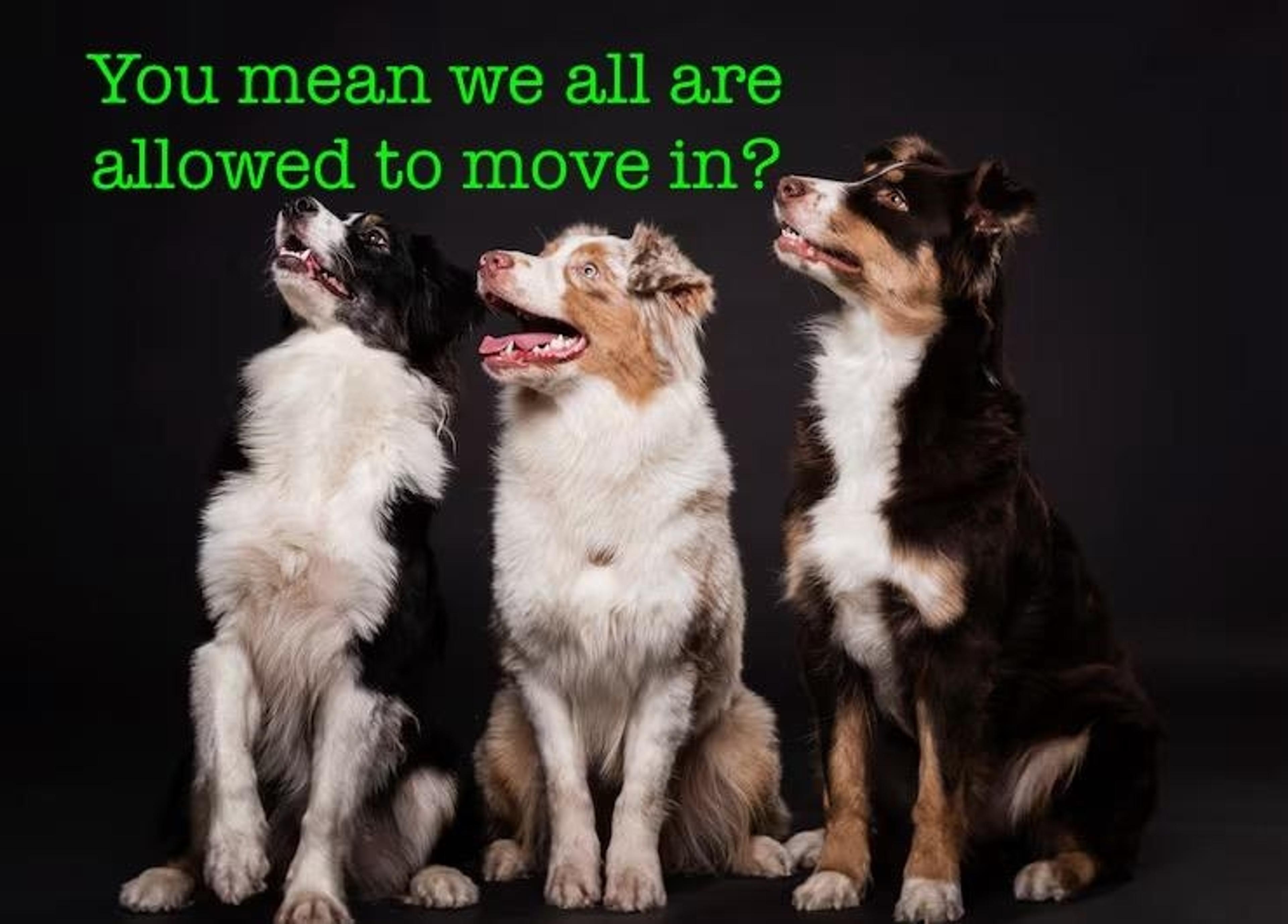 1510 W 1st Avenue, Vancouver - Exteriors - Photo 3