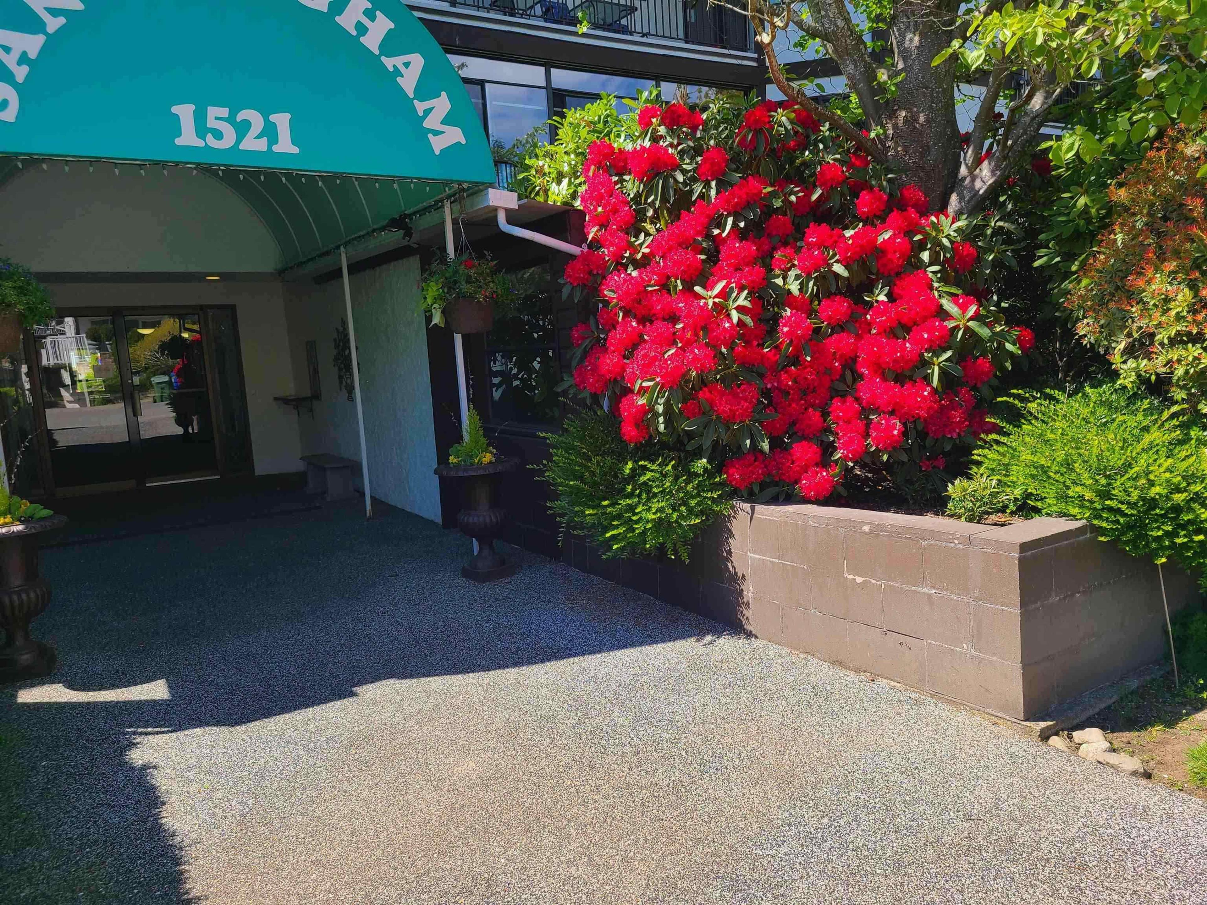 1521 Blackwood Street, White Rock - Exteriors - Photo 1