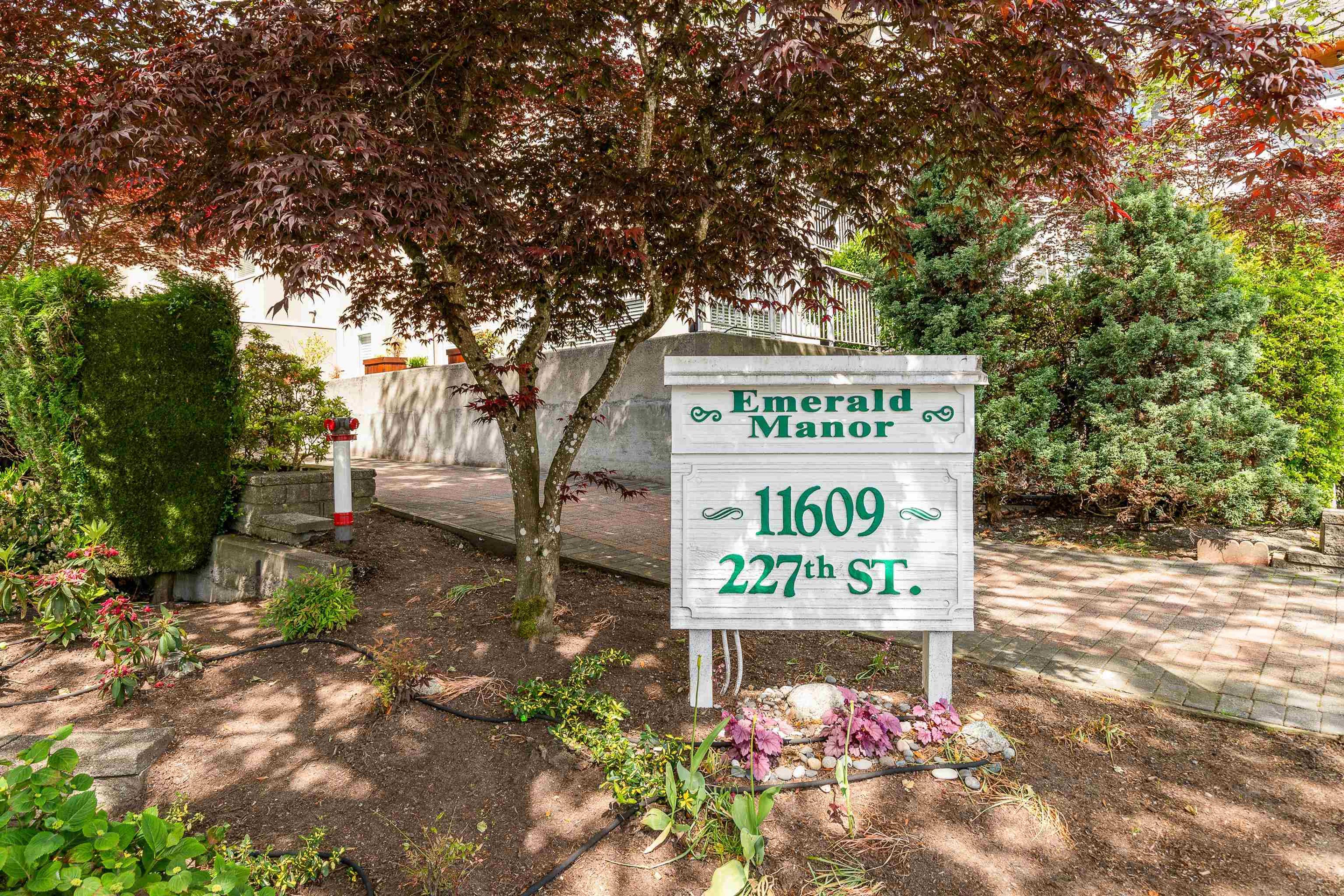 11609 227 Street, Maple Ridge - Exteriors - Photo 4