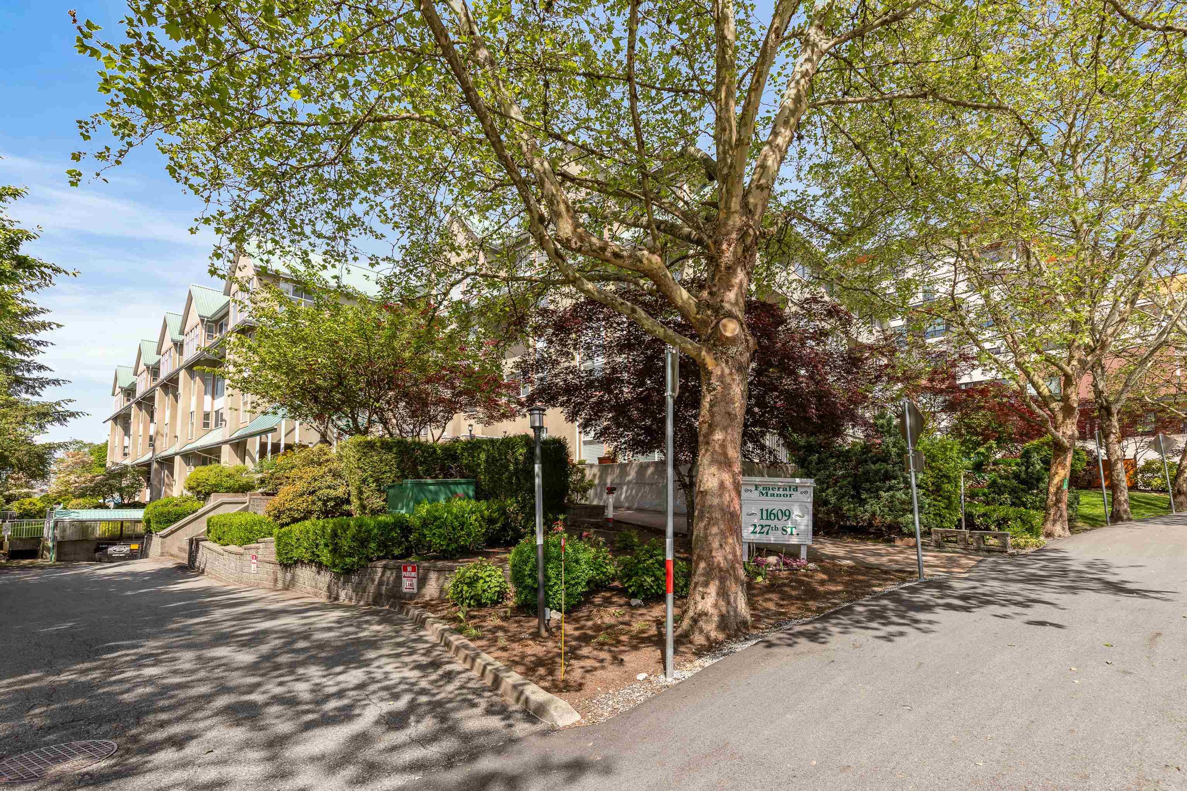 11609 227 Street, Maple Ridge - Exteriors - Full Complex View - Photo 5