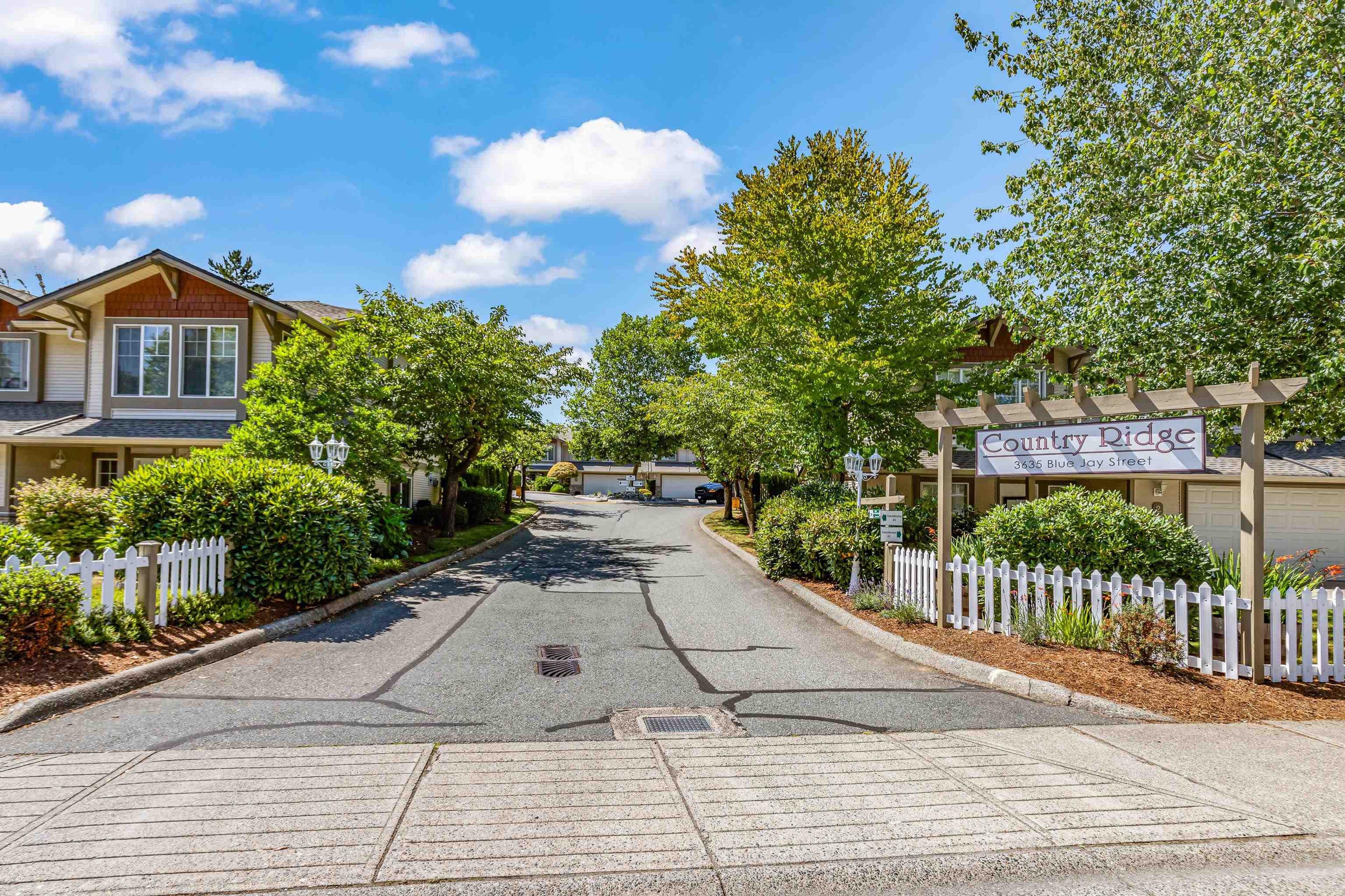 3635 Blue Jay Street, Abbotsford - Exteriors - Full Complex View - Photo 4