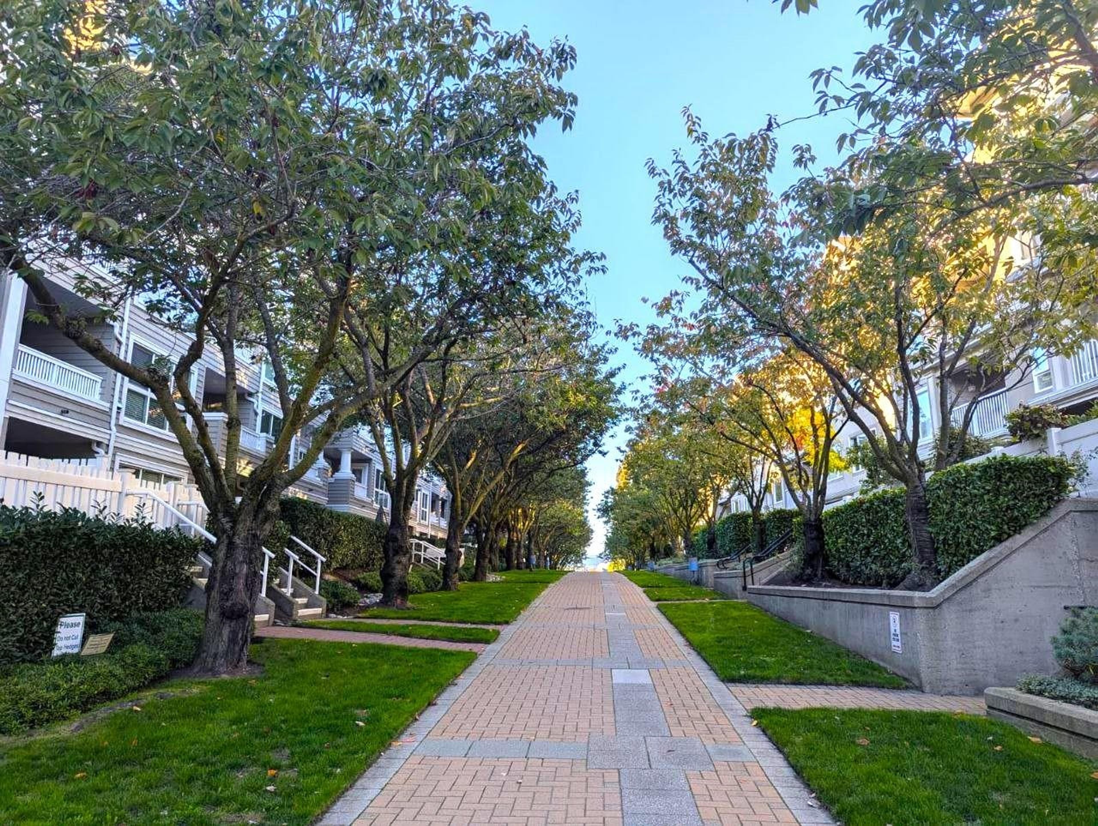 5500 Lynas Lane, Richmond - Exteriors - Full Complex View - Photo 1