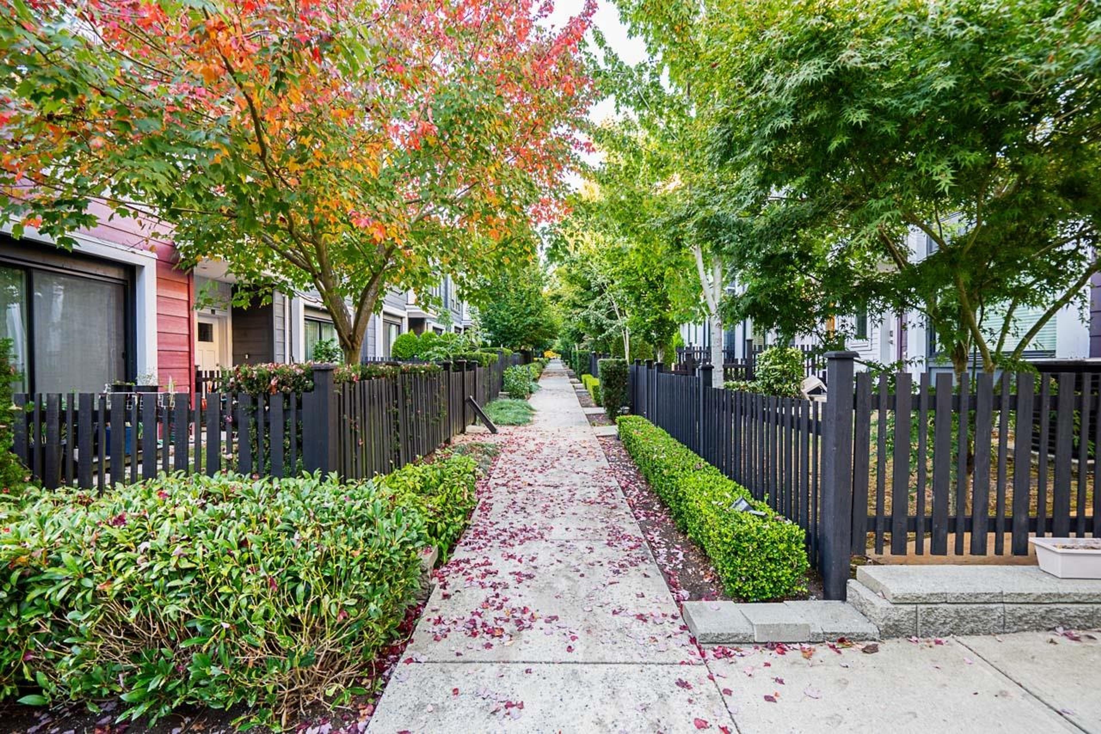 2277 Oak Meadows Drive, Surrey - Exteriors - Full Complex View - Photo 4