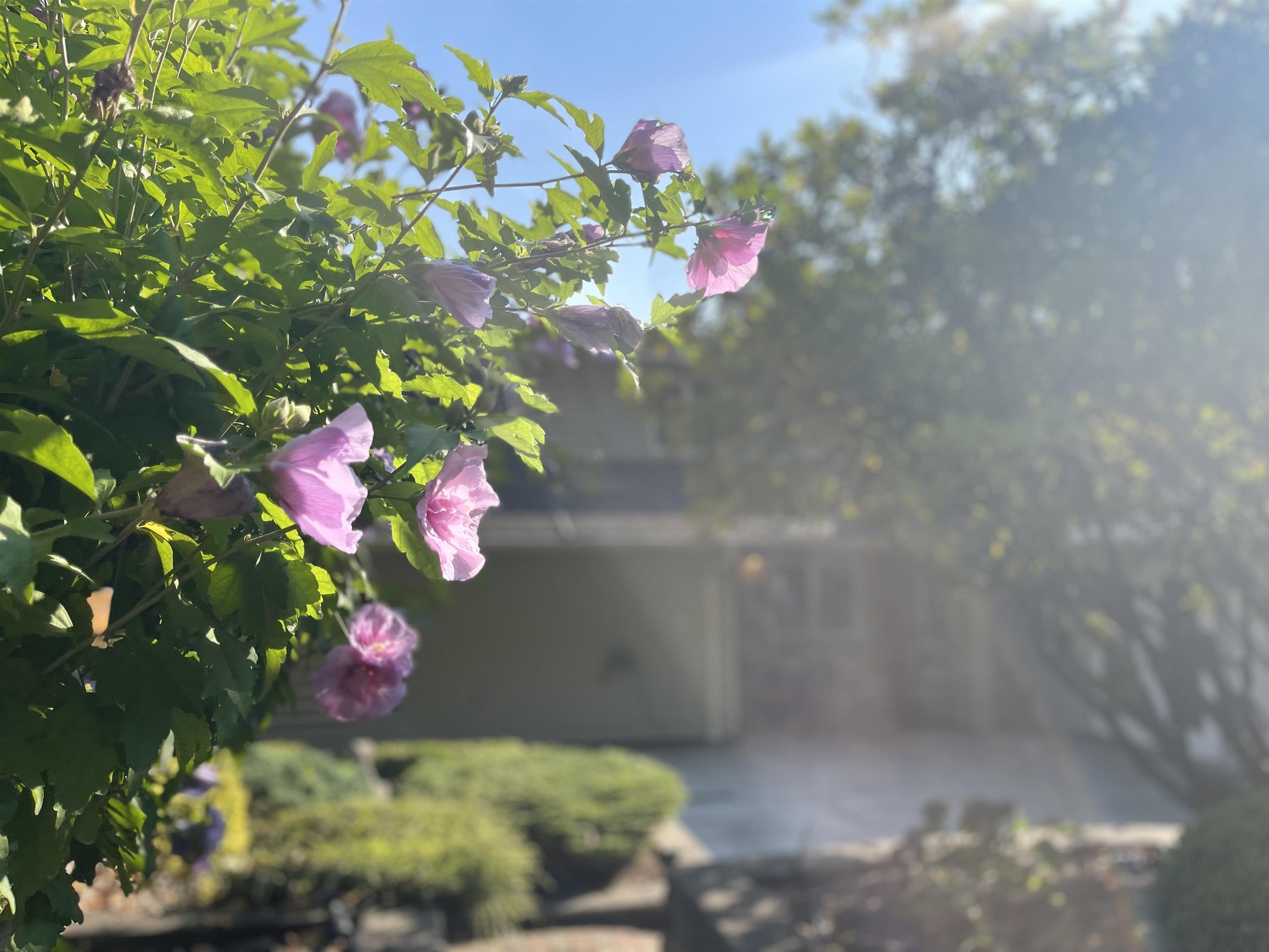 539 NEWCROFT PLACE - Main Image