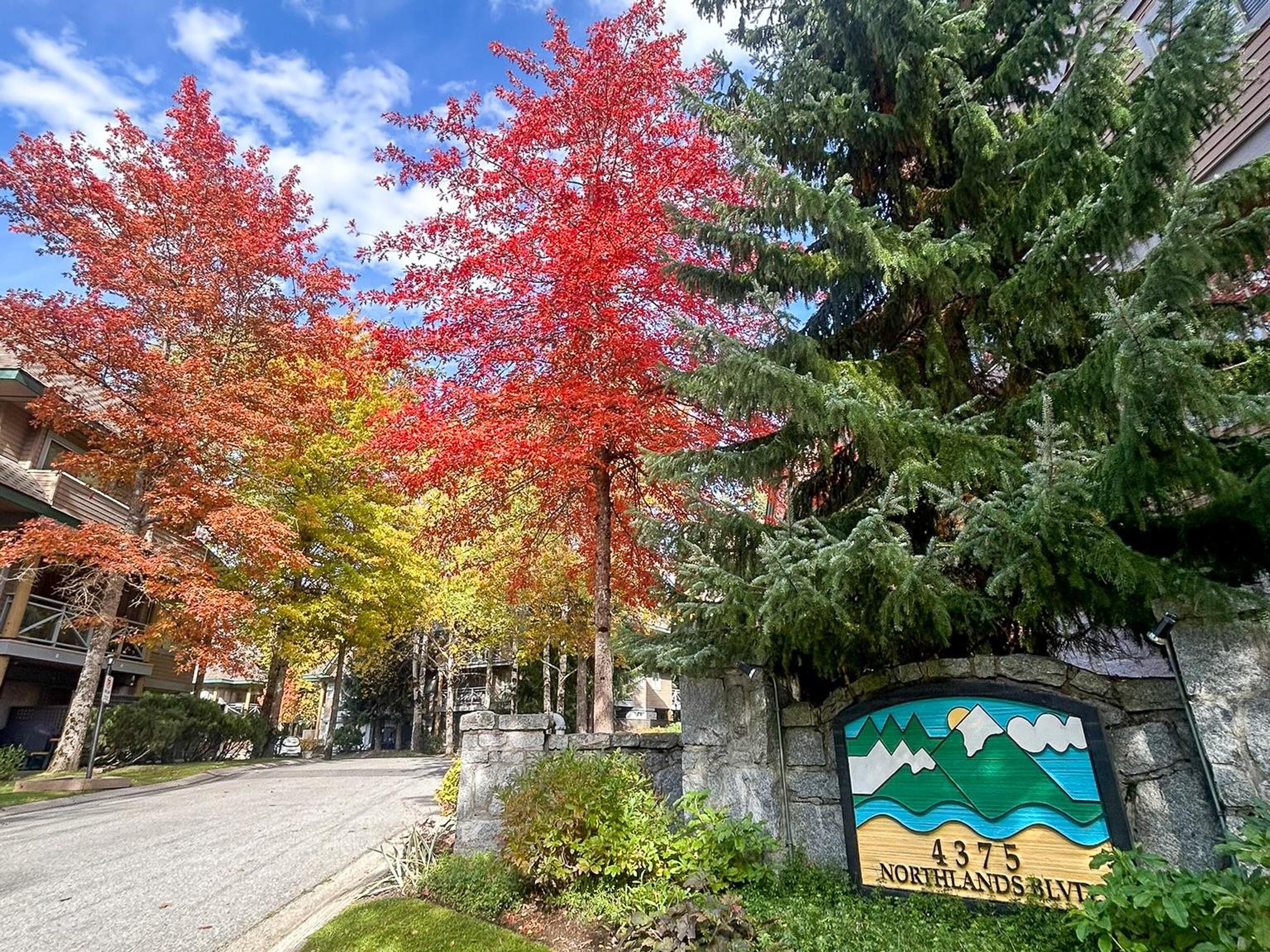 #19 4375 NORTHLANDS BOULEVARD - Main Image