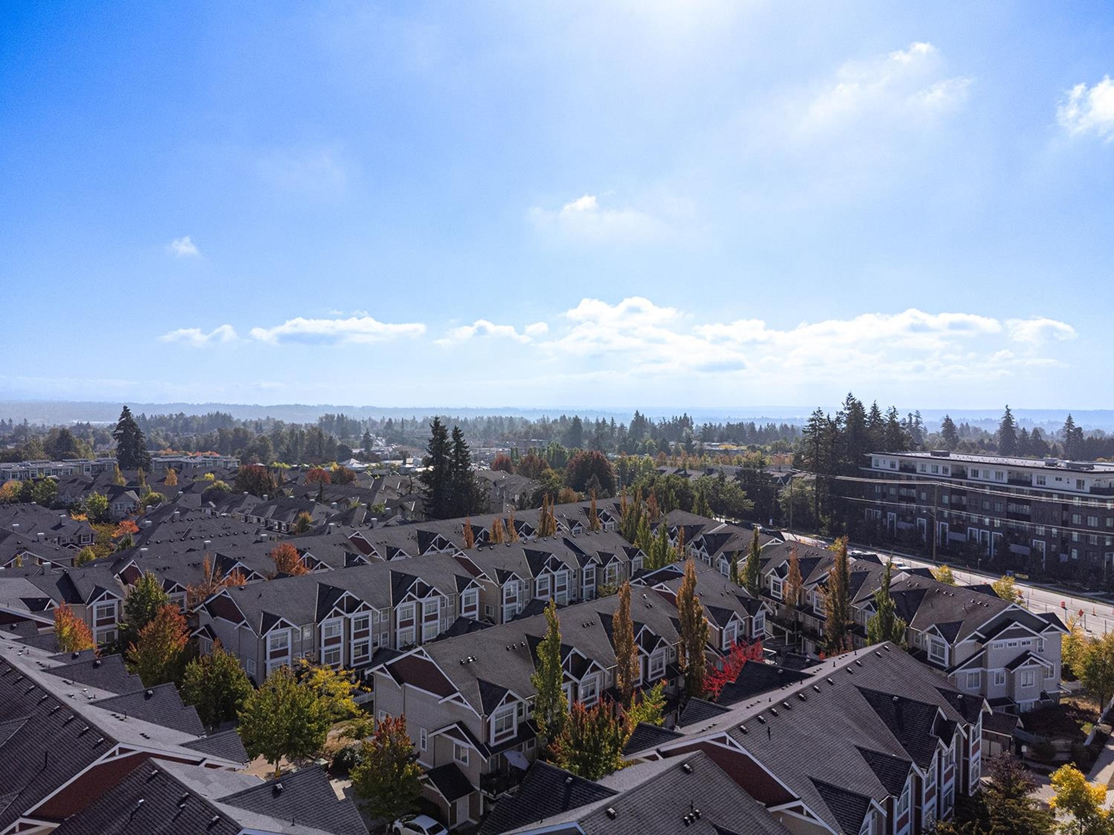 8699 158 Street, Surrey - Exteriors - Full Complex View, Drone/Aerial View - Photo 8
