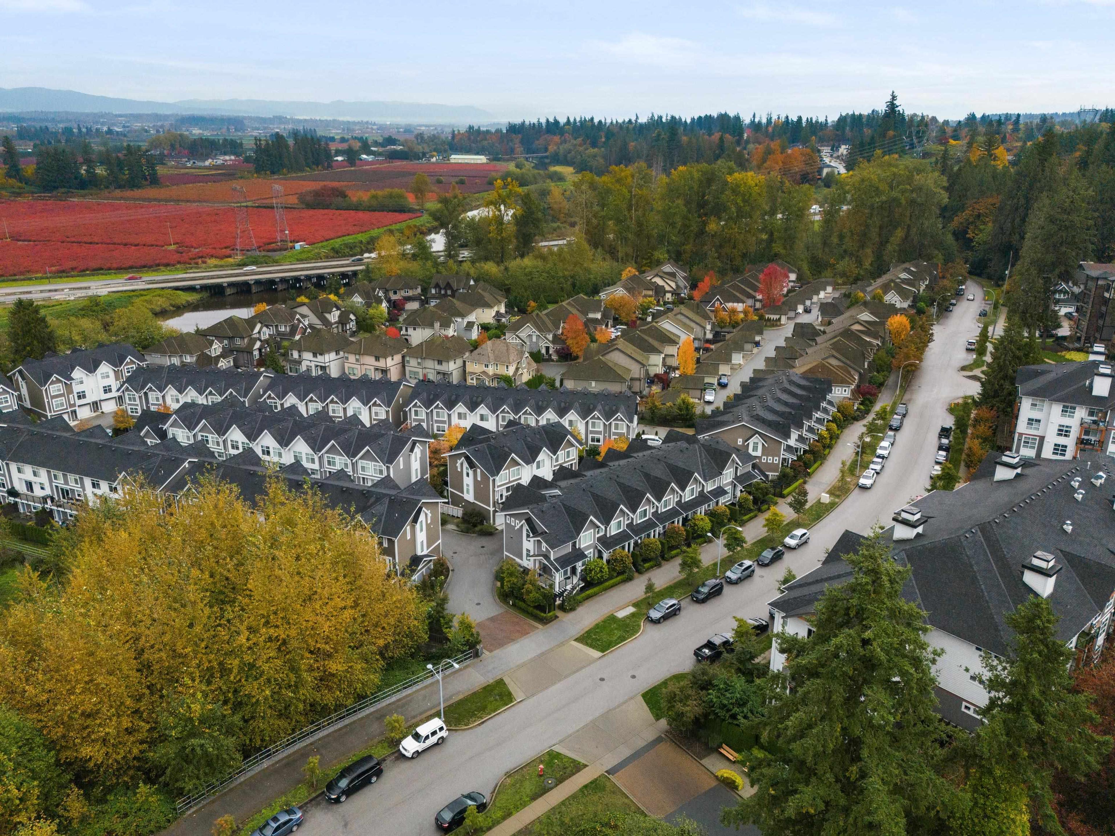 14541 Winter Crescent Crescent, Surrey - Exteriors - Full Complex View, Drone/Aerial View - Photo 4