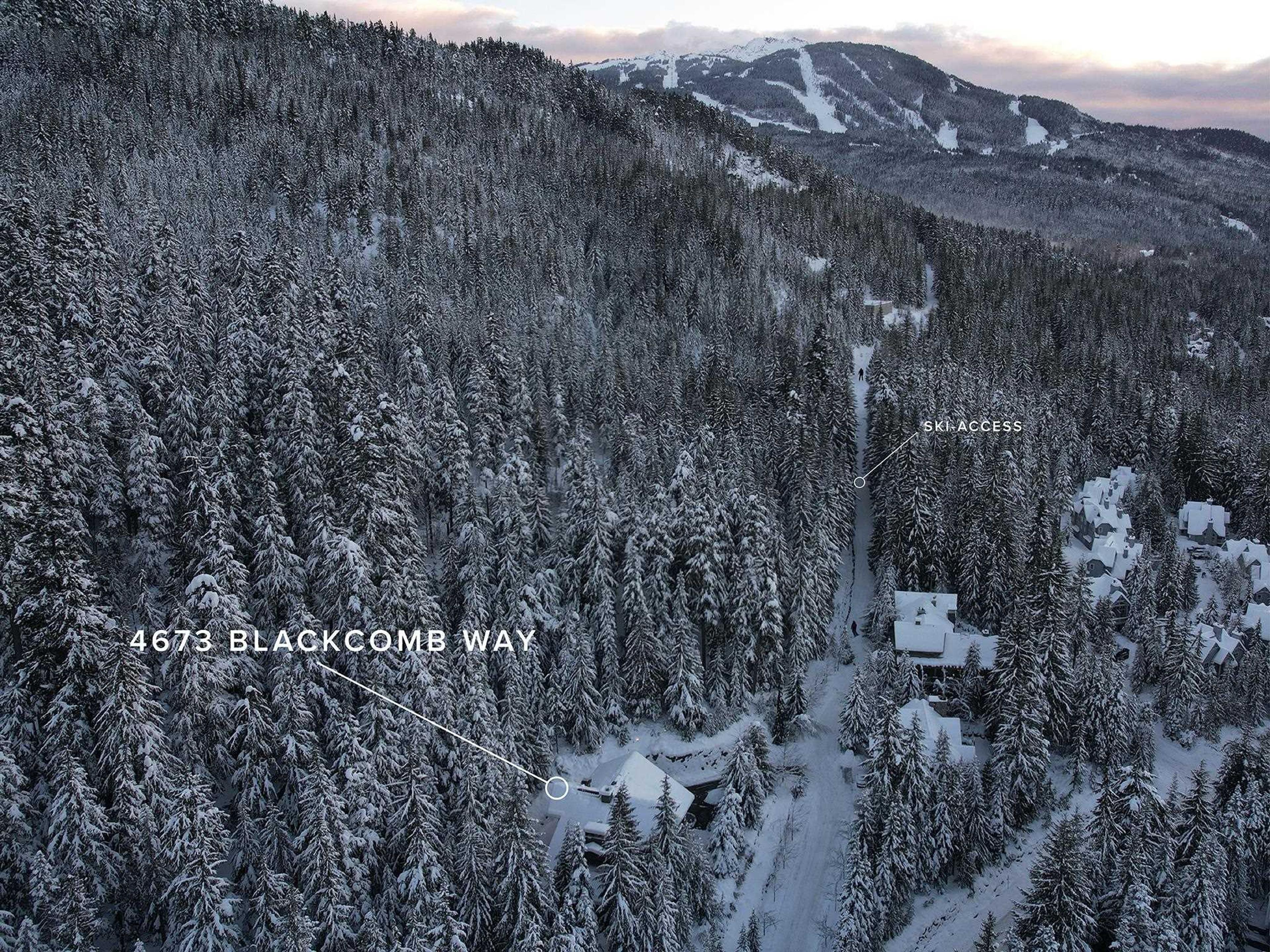 4673 BLACKCOMB WAY - Image 3