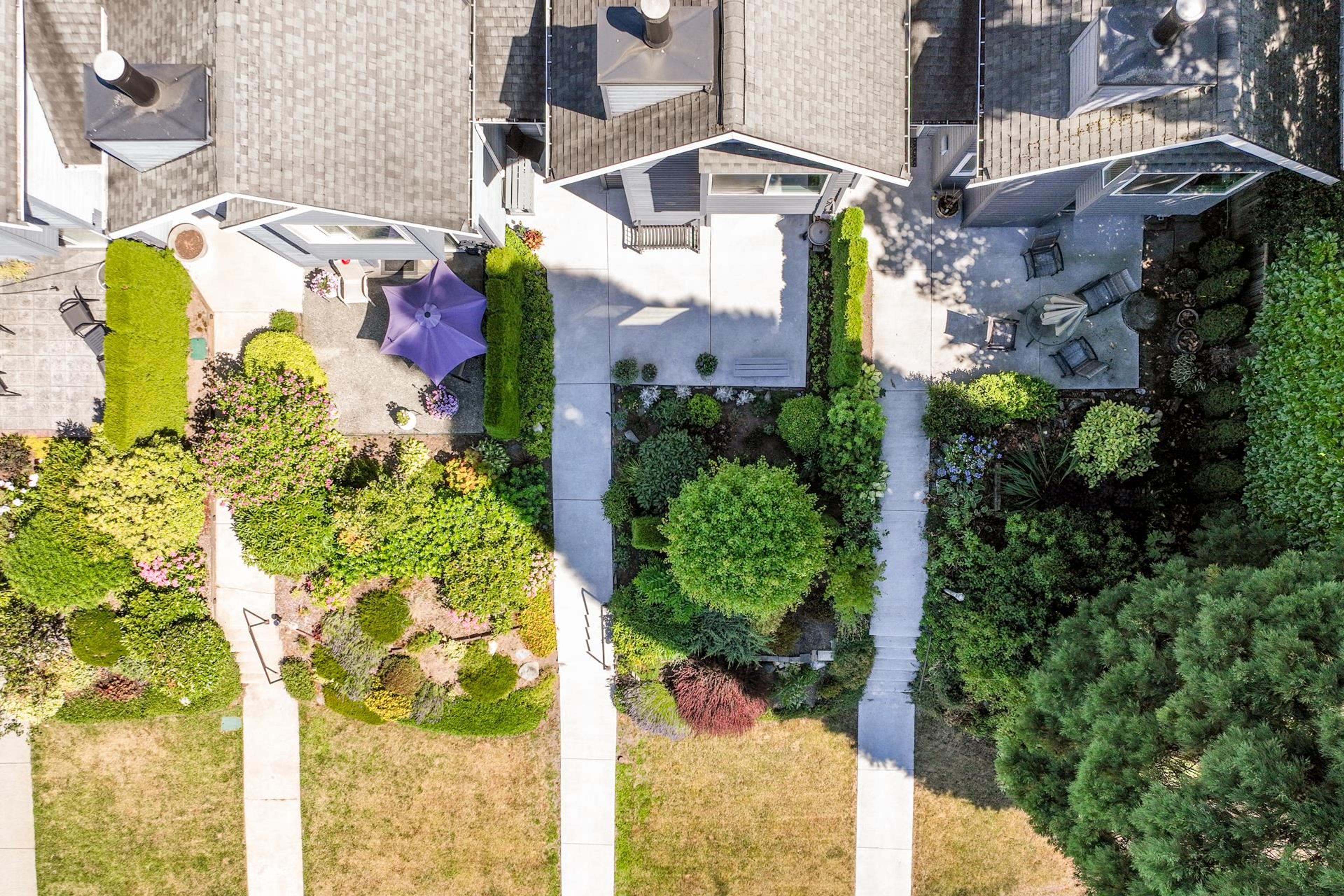 1518 Mahon Avenue, North Vancouver - Exteriors - Full Complex View, Drone/Aerial View - Photo 3