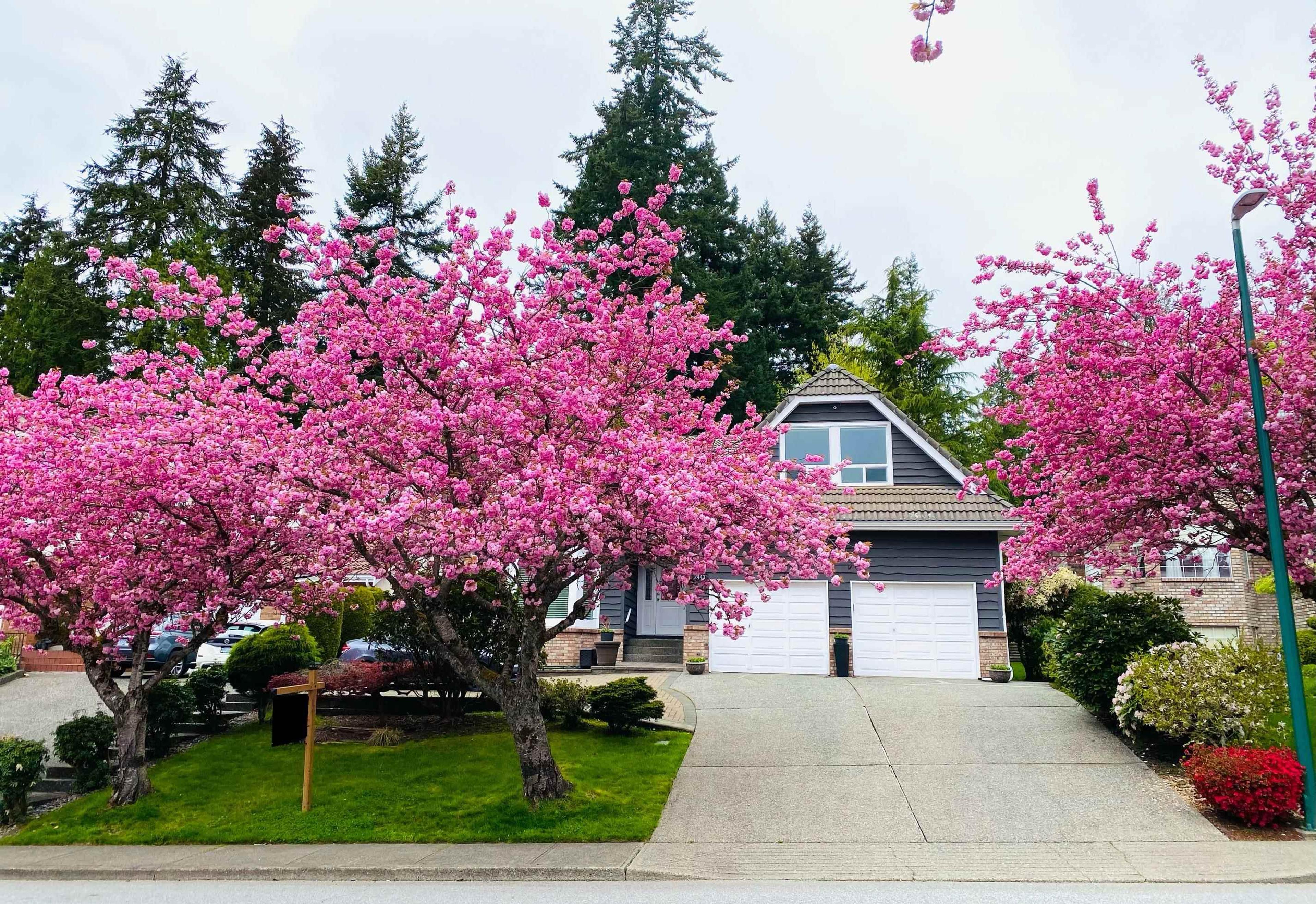 2443 LECLAIR DRIVE - Image 2